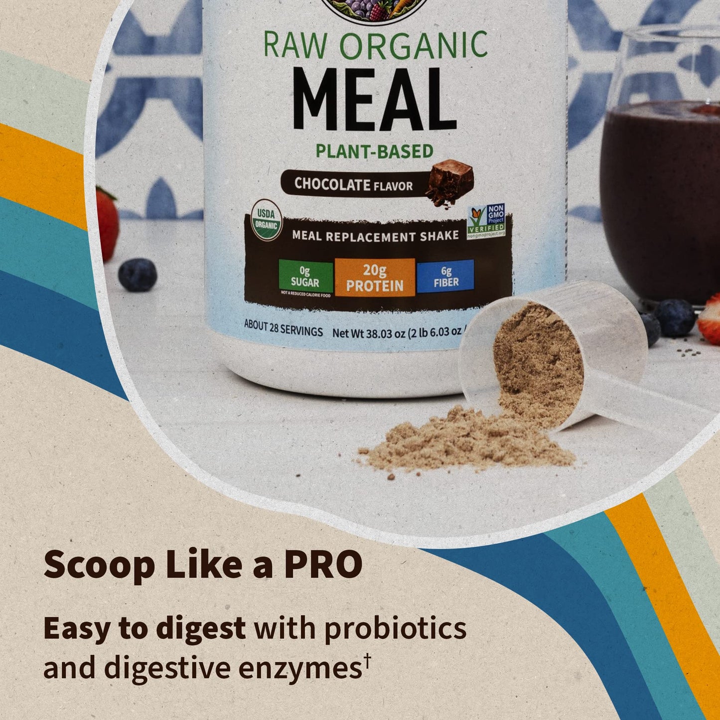Garden of Life Meal Replacement Shakes, Vegan Raw Organic Protein Powder, Chocolate Protein Powder with Plant Based Pea Protein, Sprouts, Greens, Probiotics, Dairy Free 28 Servings - Nirvana Guru