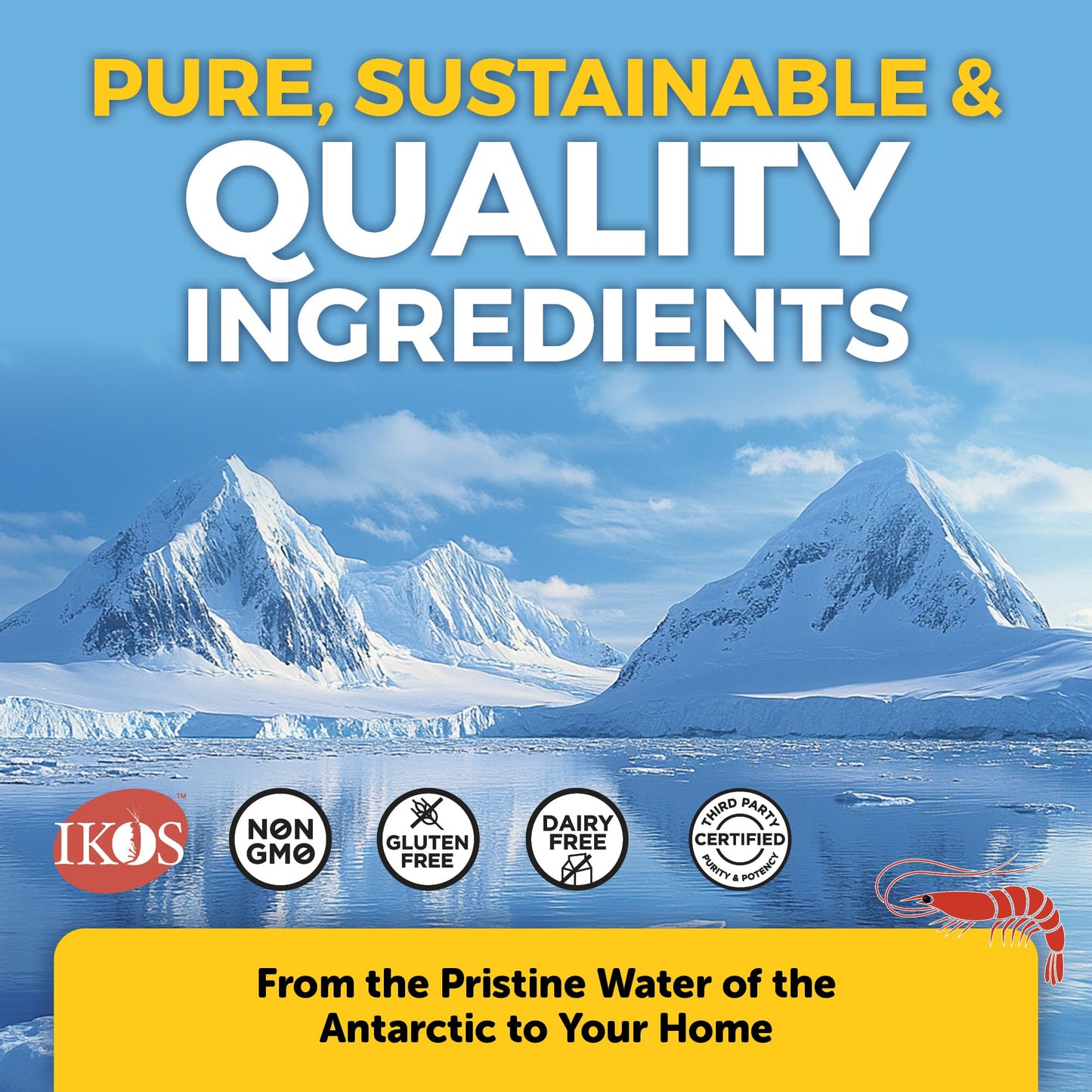 Viva Naturals Antarctic Krill Oil Omega 3 Supplements 1250 mg - DHA EPA Omega-3 & Astaxanthin Concentration for Joint Health, No Fish Burp - 60 Omega 3 Krill Oil Capsules - Nirvana Guru