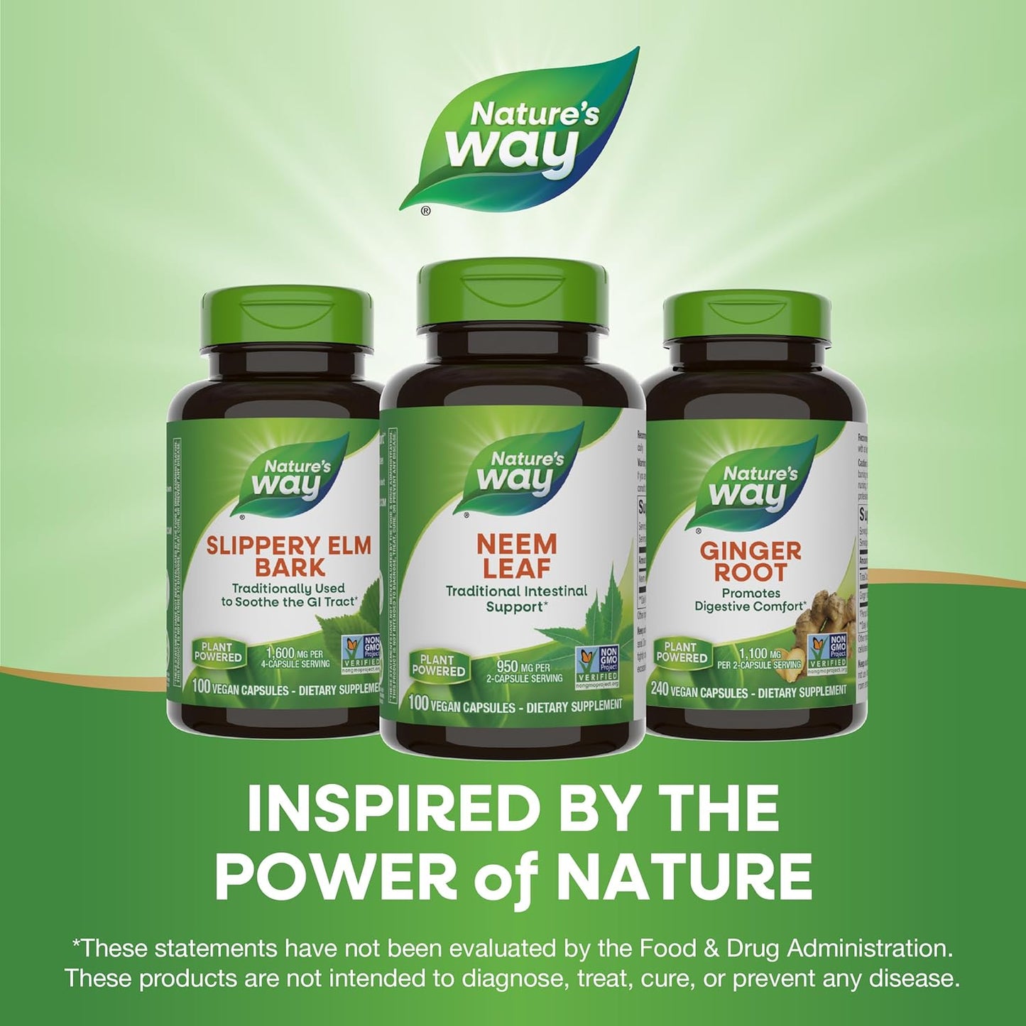 Nature's Way Herbal Neem Leaf, Traditional Intestinal Support*, Used in Ayurveda, 950 mg per 2-Capsule Serving, Non-GMO Project Verified, Vegan, 100 Capsules (Packaging May Vary) Nirvana Guru