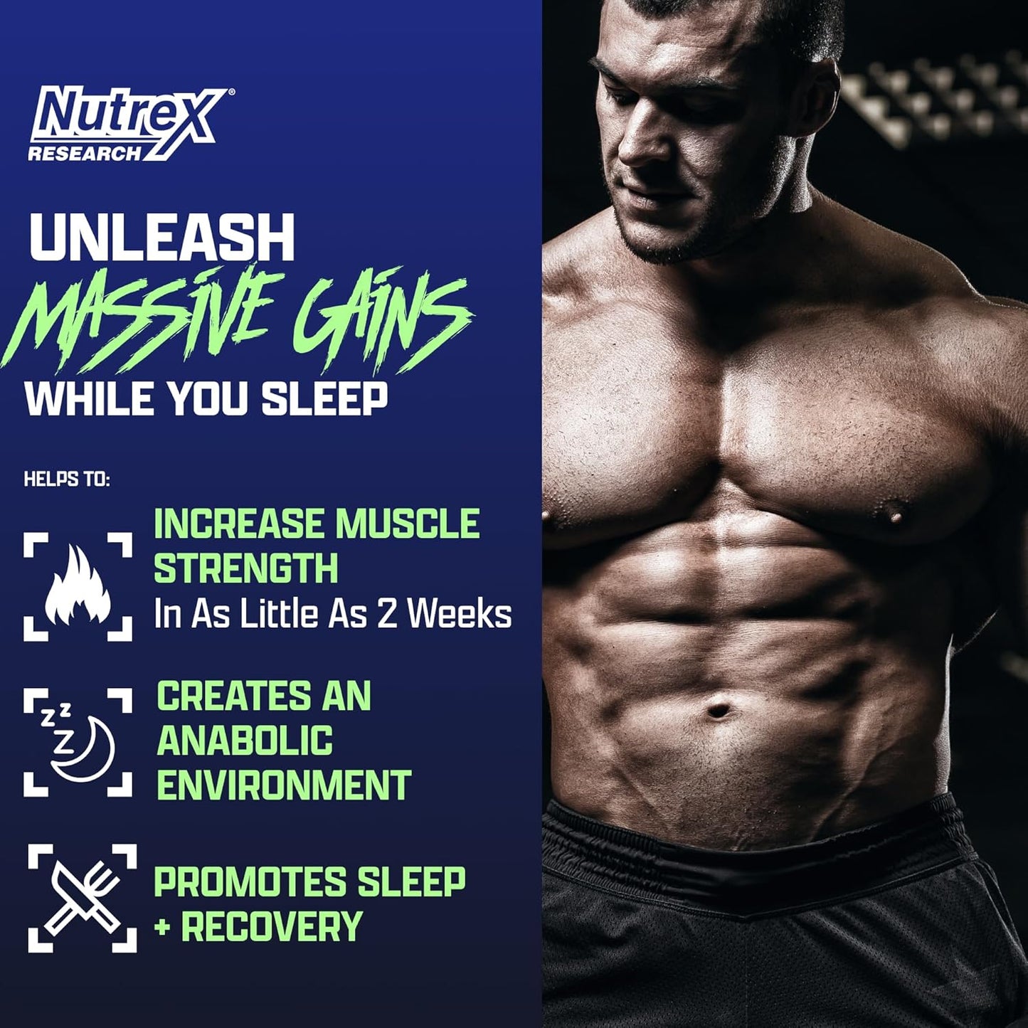 Anabol PM Nighttime Muscle Builder & Sleep Aid | Anabolic Muscle Building Supplement | Clinically Researched RIPFACTOR, Epicatechin & More | Post Workout Muscle Recovery & Strength – 60 Pills Nirvana Guru