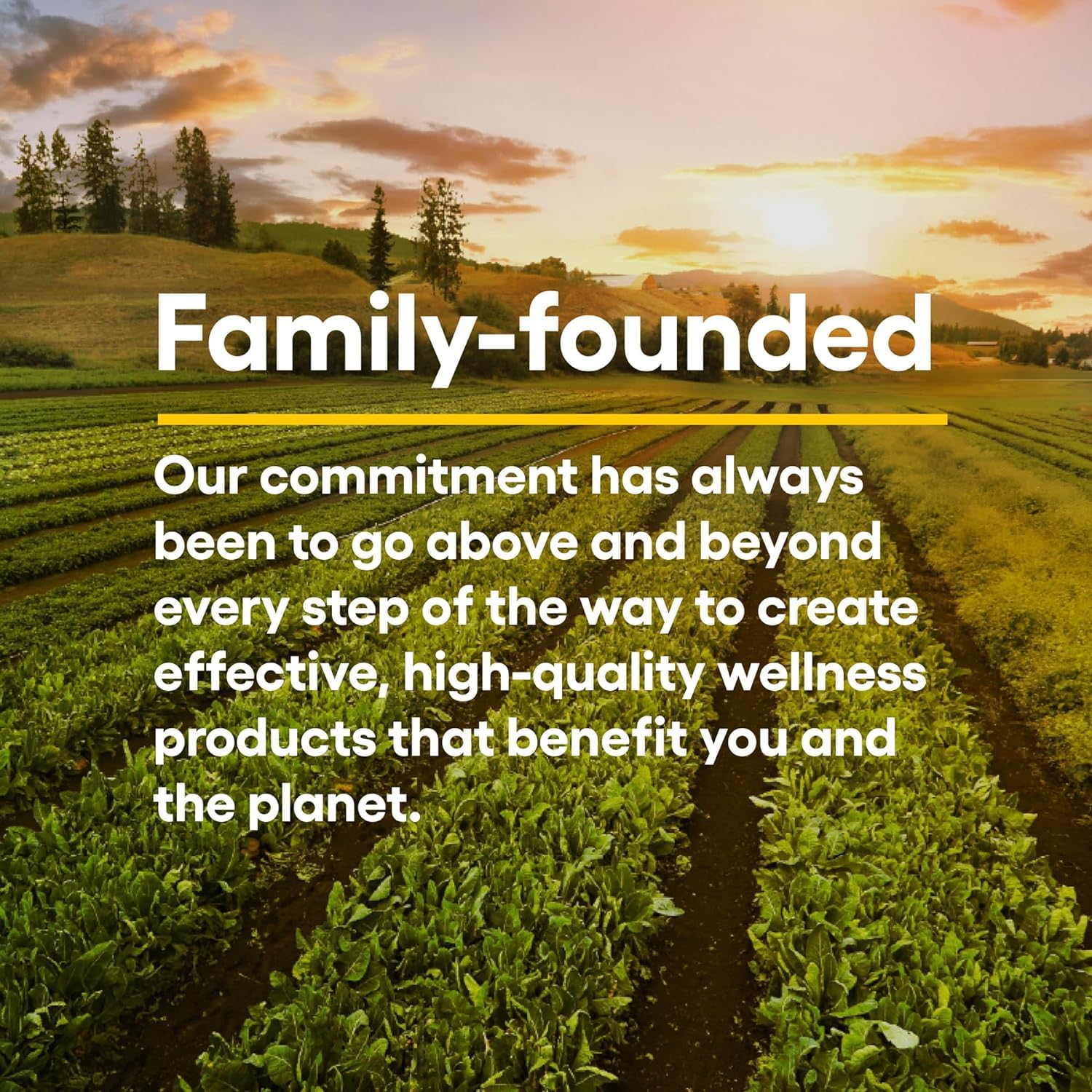 Natural Factors, Kids Chewable Vitamin C 500 mg, Supports Immune Health, Bones, Teeth and Gums, Tangy Orange, 180 Count (Pack of 1) - Nirvana Guru