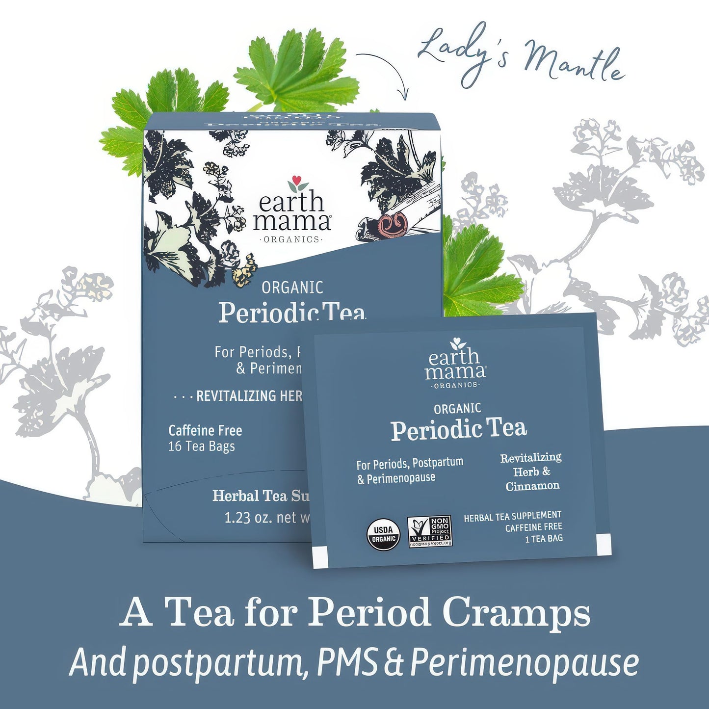 Earth Mama Organic Third Trimester Tea Bags | 100% USDA Organic Herbal Tea for Late Pregnancy Comfort + Childbirth Preparation, 16 Teabags Per Box (2-Pack) Nirvana Guru