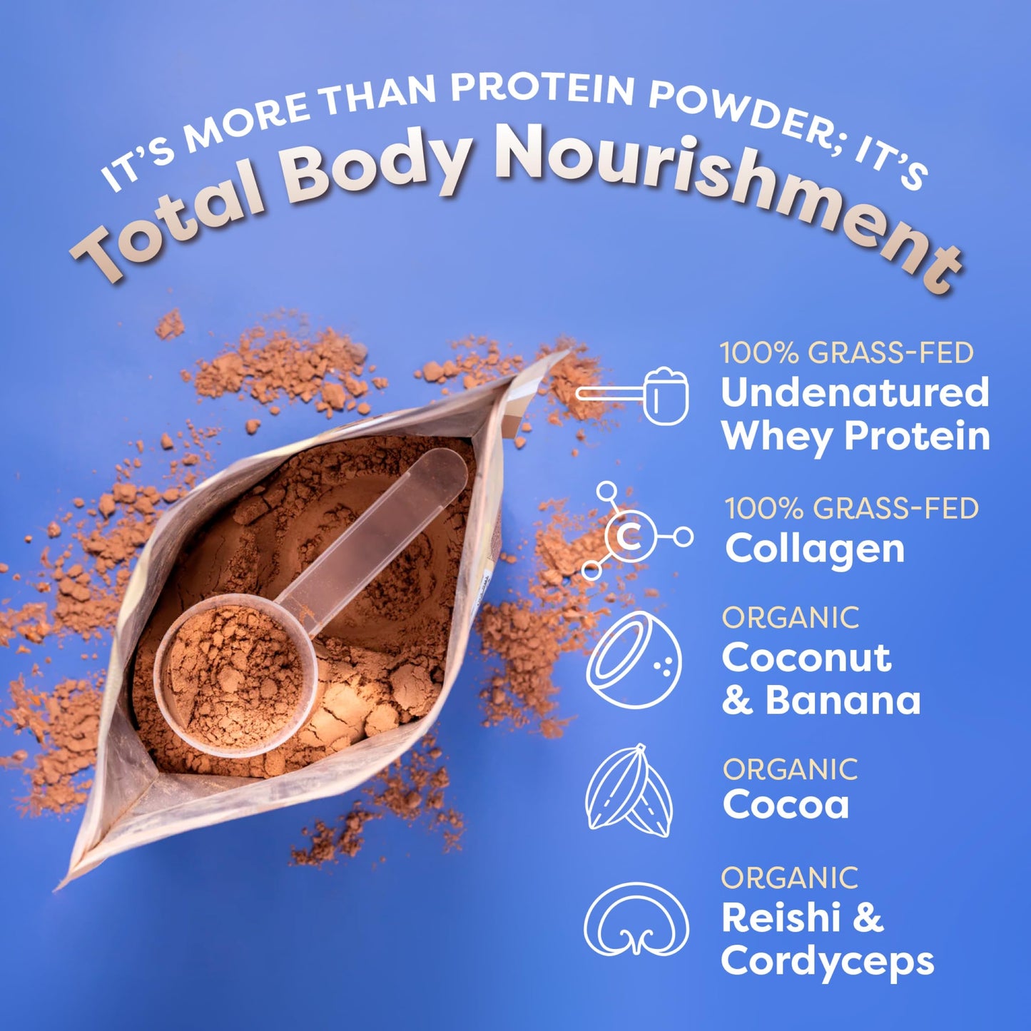 FlavCity Grass Fed Whey Protein Powder - Vanilla Smoothie - 25g Protein & 10g Collagen - Made with Real Vanilla Bean & Organic Coconut Milk - Gluten Free & No Added Sugars (20 Servings)