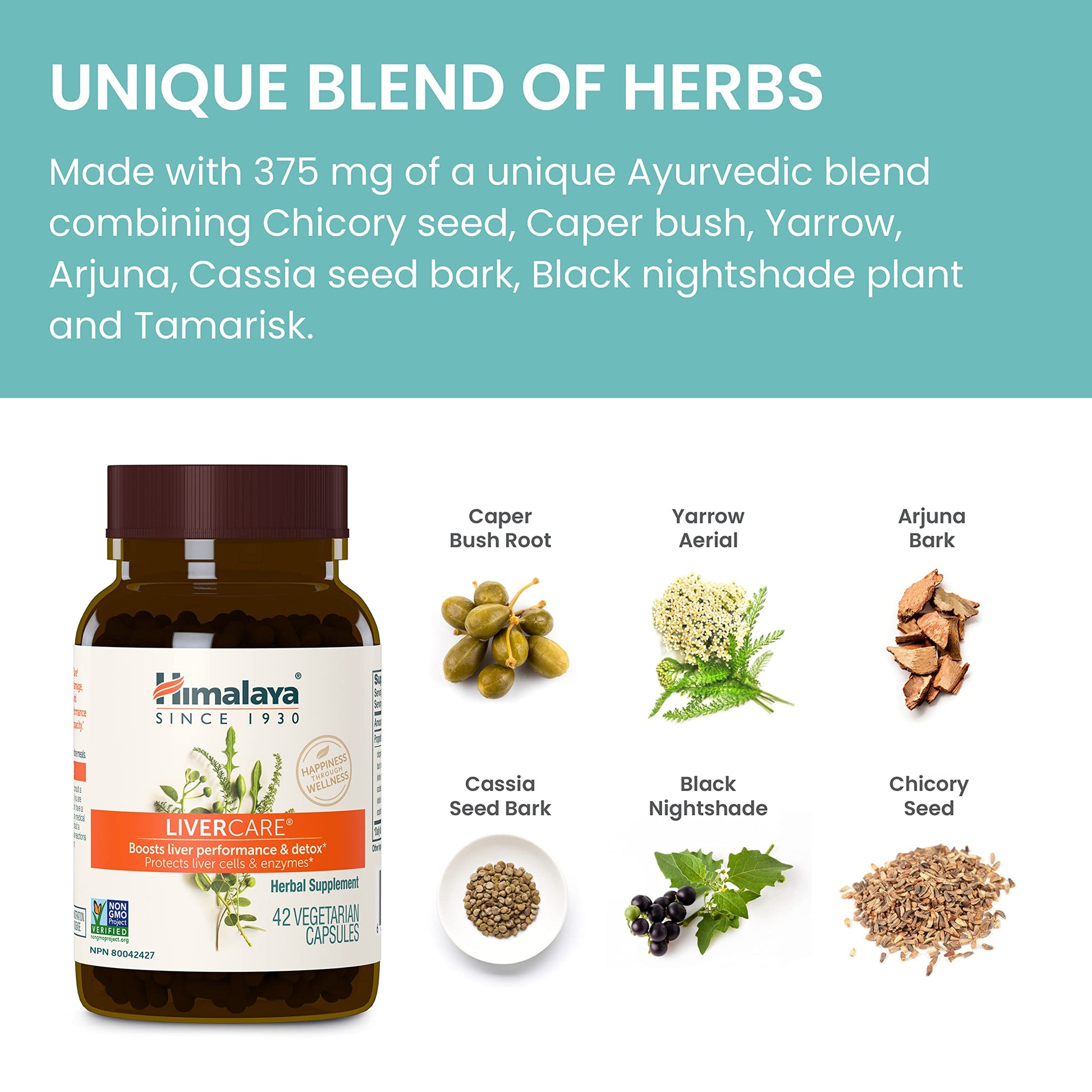 Himalaya LiverCare, 45 Day Supply - Herbal Liver Support Promoting Waste Elimination, Liver Cleanse, Detox, and Bile Production - Vegan, Non-GMO, Gluten Free, 375 mg, 90 Capsules Nirvana Guru