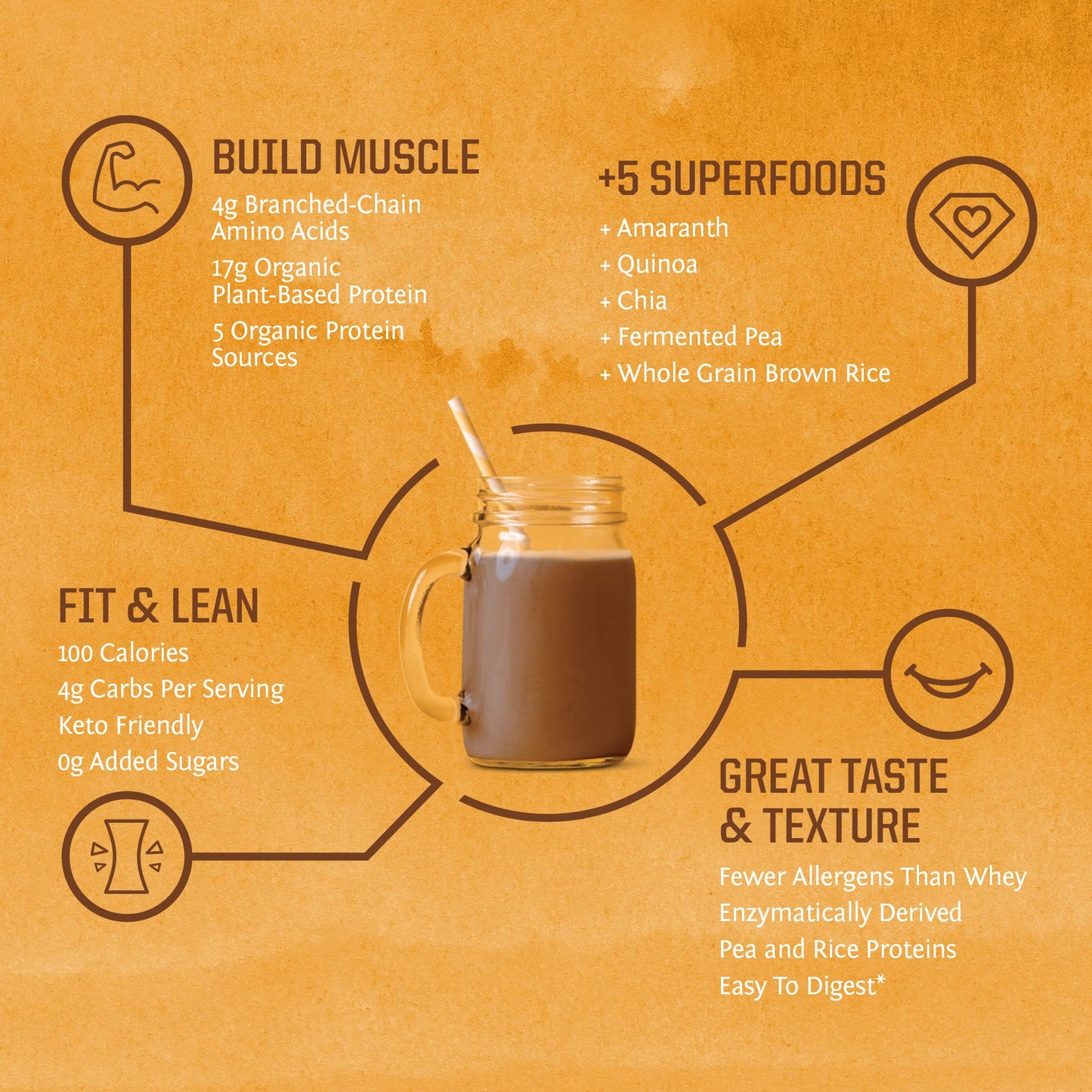 Brown Rice Protein Powder with Bcaa & Amino Acids Raw Rice Protein Shake Gluten Free Low Carb Dairy Free | Plant Based Classic Sprouted Brown Rice Protein Powder Natural 375g by Sunwarrior - Nirvana Guru
