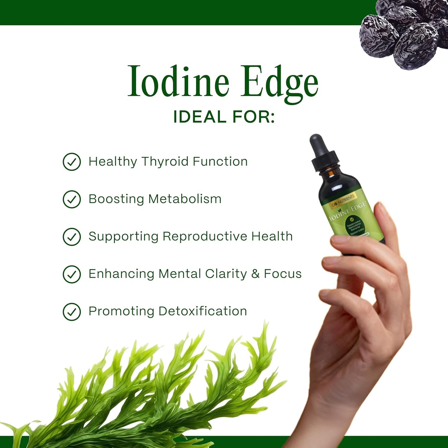 Go Nutrients Iodine Edge – Organic Nascent Iodine Liquid Supplement for Thyroid Support, Energy, Immune & Cognitive Health – High Absorption Drops - Natural Tincture for Women & Men – 1 oz Nirvana Guru