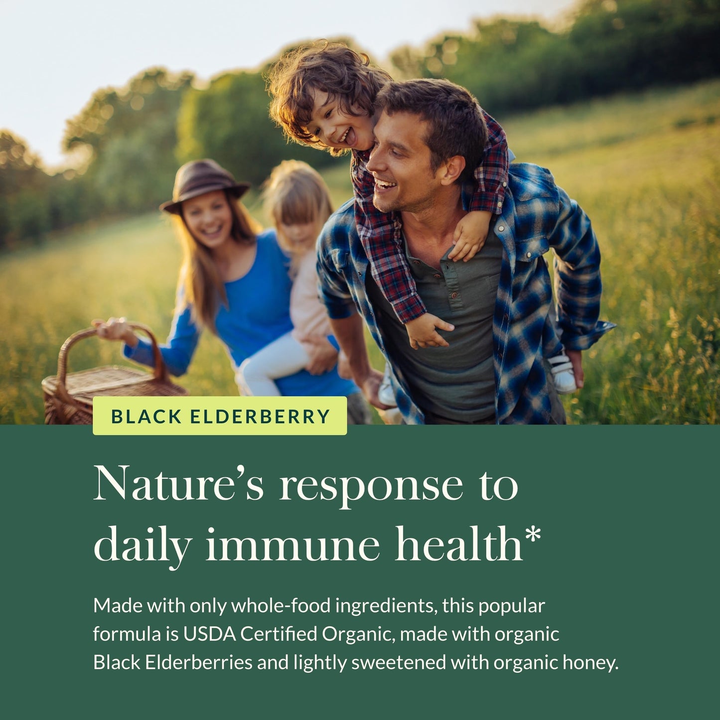 Gaia Herbs Black Elderberry(Sambucus Nigra) Syrup Extra Strength-Immune Support Supplement-Made with Organic Black Elderberries for Immune System-USDA Certified Organic Formula - Nirvana Guru