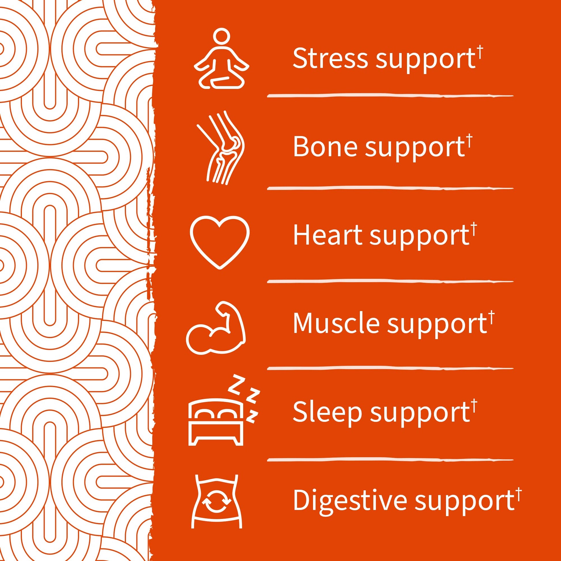 Garden of Life - Dr Formulated Magnesium Citrate Supplement with Prebiotics & Probiotics for Stress, Sleep & Recovery - Vegan, Gluten Free, Kosher, Non-GMO, No Added Sugars – 60 Raspberry Gummies - Nirvana Guru