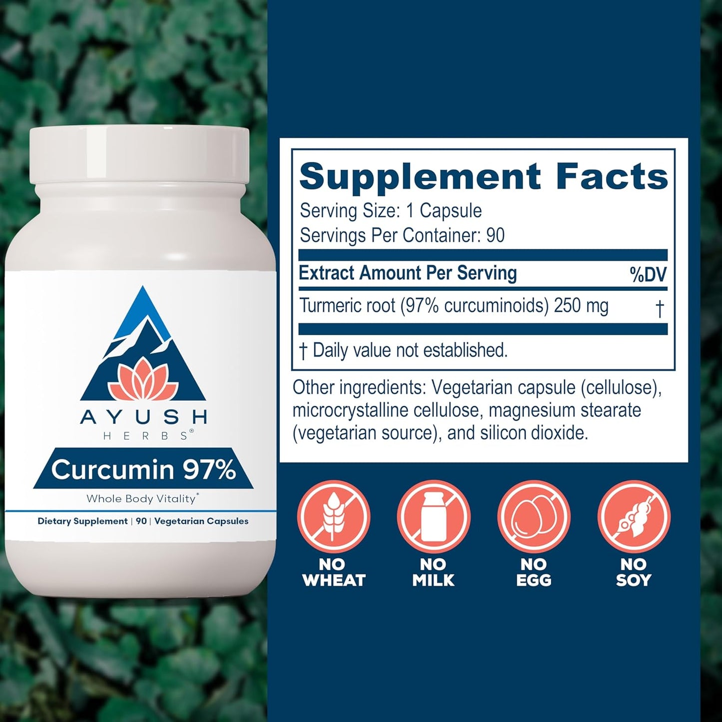 Ayush Herbs Curcumin 97% - Curcumin Supplements, Premium Turmeric Root Supplement, Curcuminoids for Women & Men, Adults, Premium Joint Support, Strength & Vitality - 90 Vegetarian Capsules (1 Count) Nirvana Guru