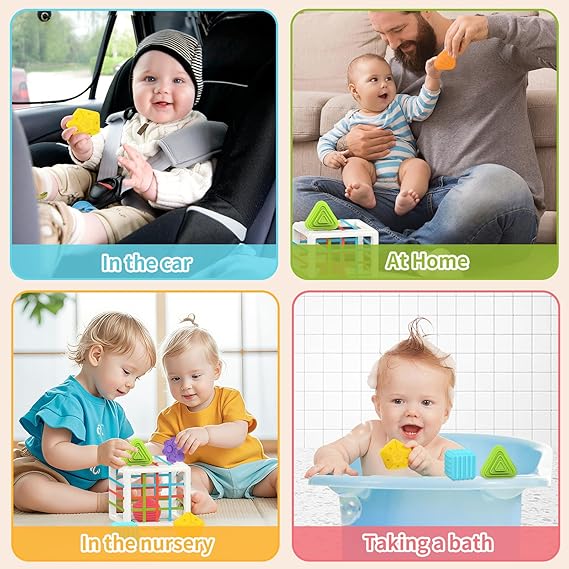 MINGKIDS Montessori Toys for 1 Year Old – 6 Pc Multi-Sensory Shape Sorter Set | Developmental Learning Toys & Birthday Gifts for Toddlers 12 Months+ nirvanaguru