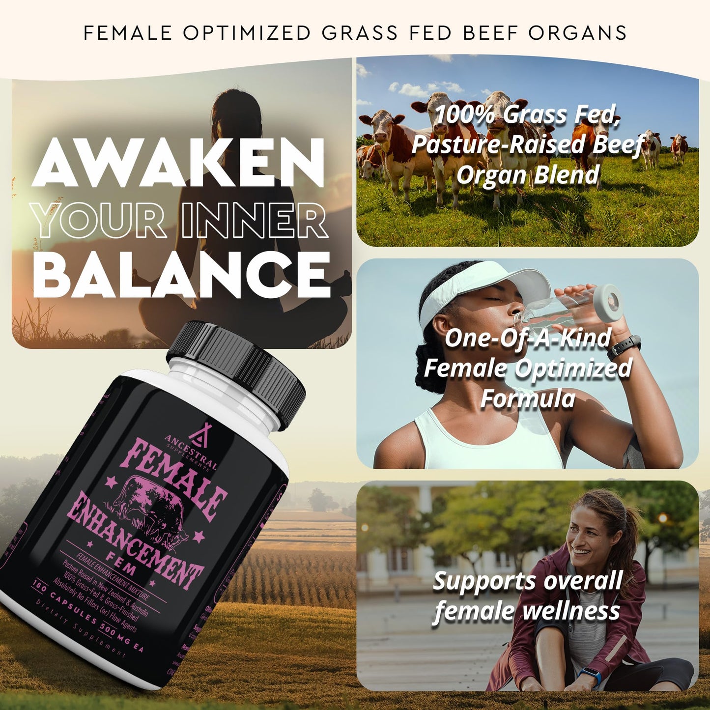 Ancestral Supplements Grass Fed Beef Liver 180 Capsules, Supports Energy Production, Detoxification, Digestion, Immunity and Full Body Wellness, Non-GMO, Freeze Dried Liver Health Supplement