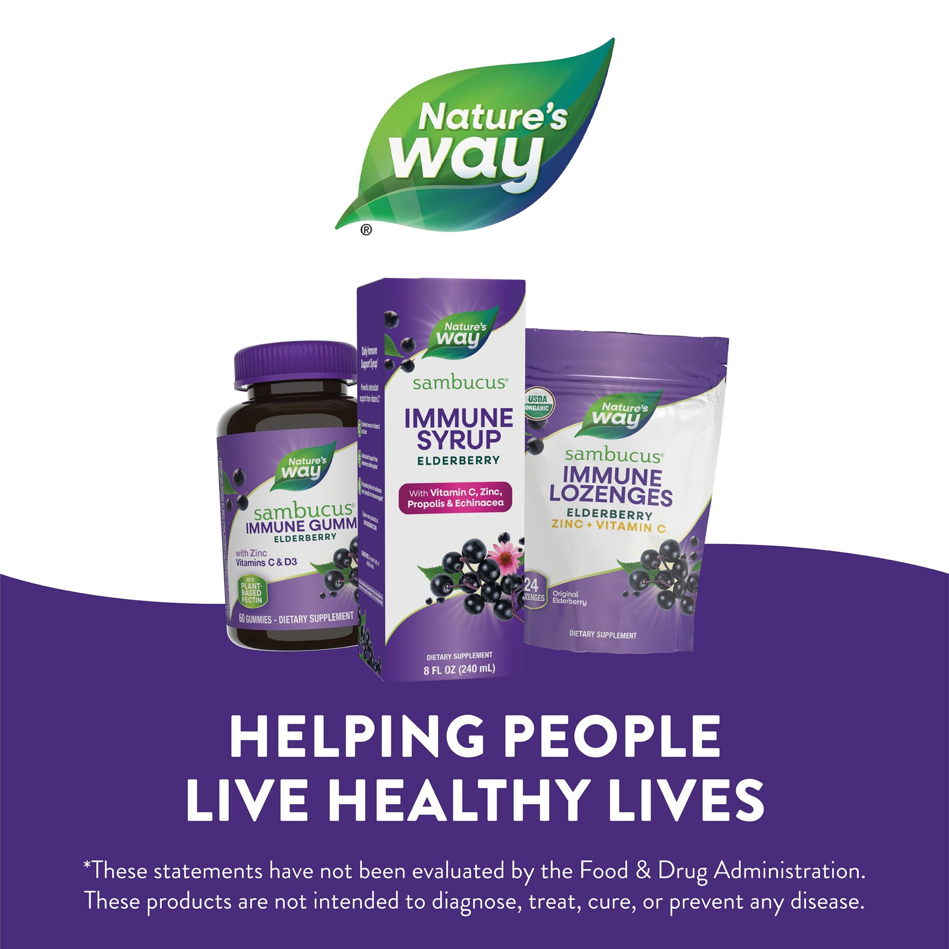 Nature's Way Sambucus Immune Syrup, Elderberry Extract, Vitamin C, Zinc, Echinacea, Propolis, Daily Immune Support*, Antioxidant Support*, Gluten free, Vegetarian, 8 Fl Oz - Nirvana Guru