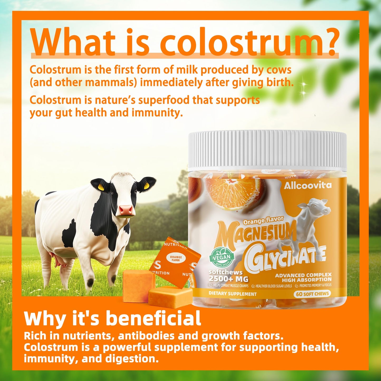 Bovine Colostrum Chews Supplement with probiotics for Gut Health, Bloating, Immune Support, Skin, Hair Growth and Beauty - Strawberry Flavor (60 Servings) Nirvana Guru