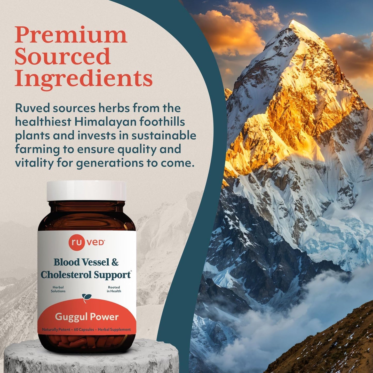 Ruved Guggul Power Herbal Supplement for Ayurvedic Cholesterol Support, Red Yeast Rice, Bergamot, Guggul, and Amla Supplement for Women and Men, 60 Vegetarian Capsules Nirvana Guru