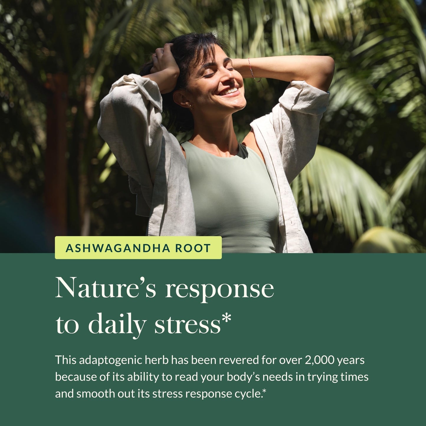 Gaia Herbs Ashwagandha Root - Stress Relief & Immune Support Supplement - Supports Balanced Energy Levels and Positive Outlook - 120 Vegan Liquid Phyto Capsules (1 Pack) Nirvana Guru