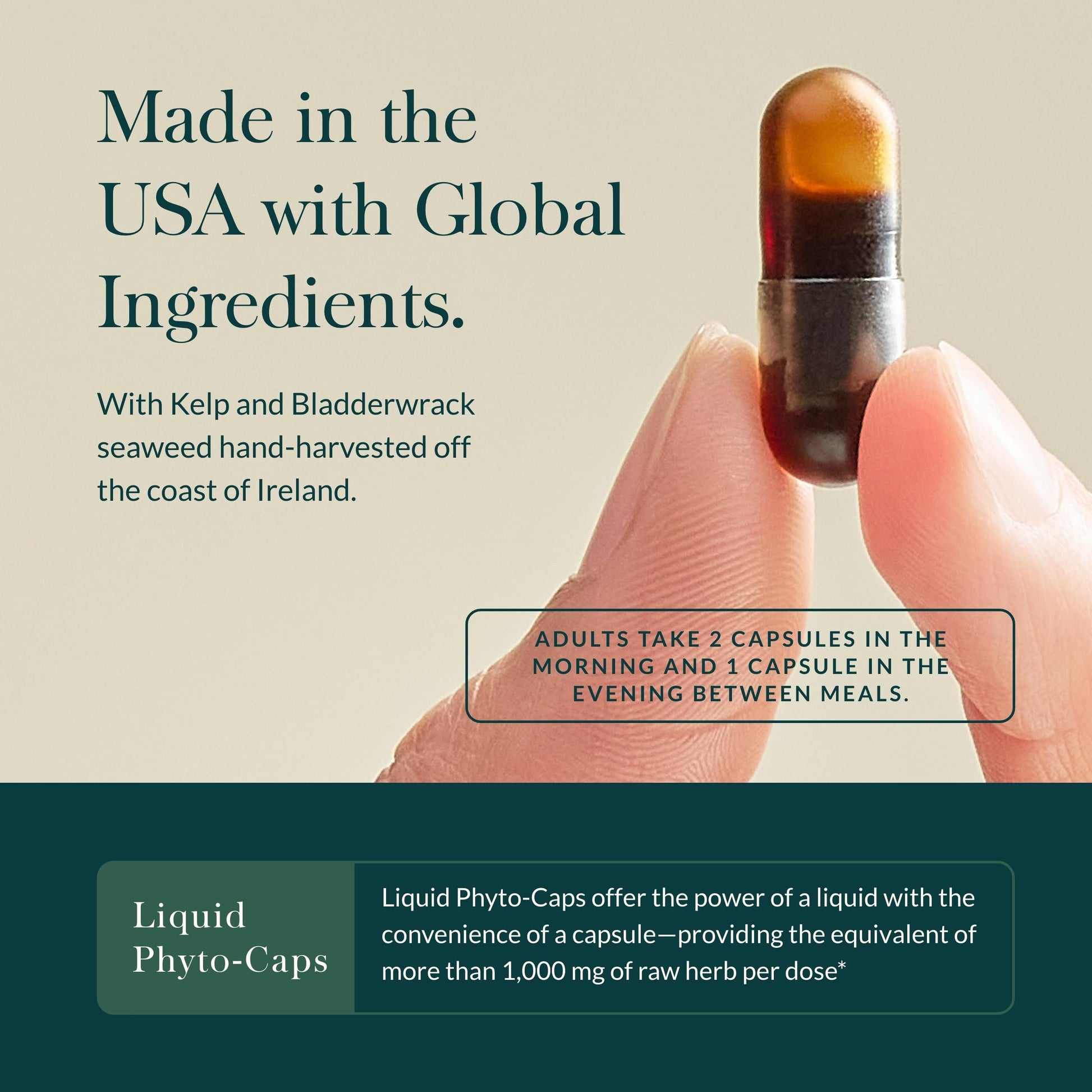 Gaia Herbs Thyroid Support - Made with Ashwagandha, Kelp, Brown Seaweed, and Schisandra to Support Healthy Metabolic Balance and Overall Well-Being - 60 Vegan Liquid Phyto-Capsules (20-Day Supply) - Nirvana Guru