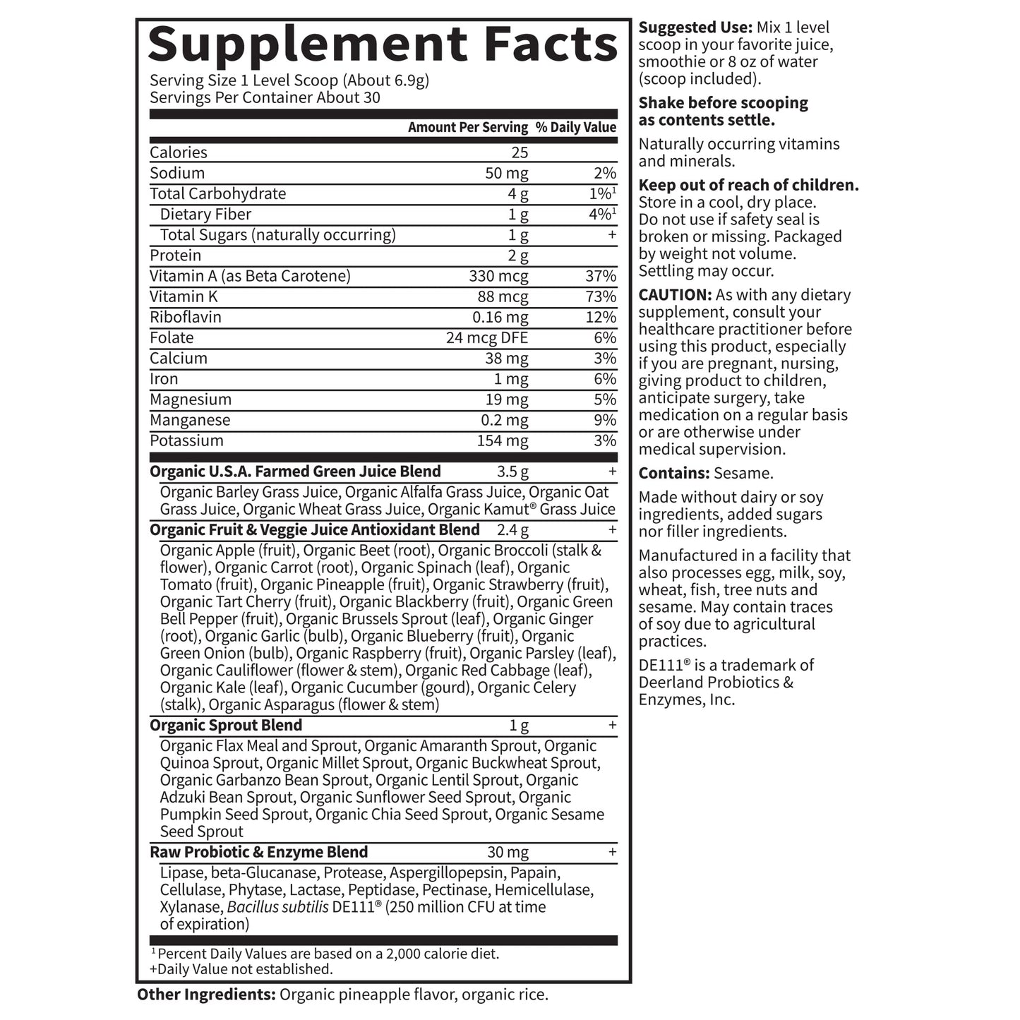 Garden of Life Raw Organic Perfect Food Green Superfood Juiced Greens Powder - Chocolate, 30 Servings (Packaging May Vary) - Nirvana Guru