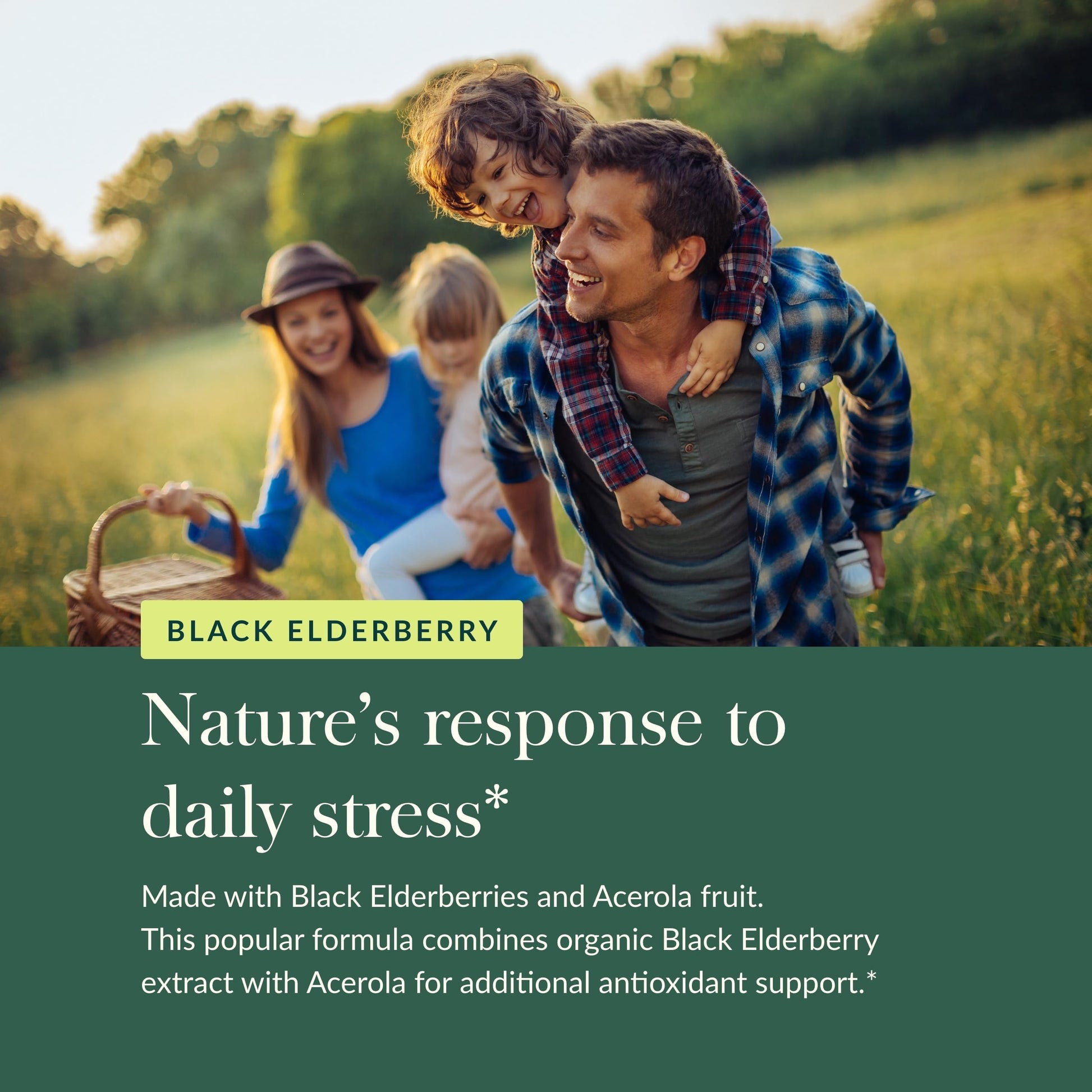 Gaia Herbs Black Elderberry - Daily Immune Support Supplement to Help Maintain Well-Being- with Black Elderberries and Acerola Fruit for Antioxidant Support - 120 Vegan Capsules (60-Day Supply) - Nirvana Guru