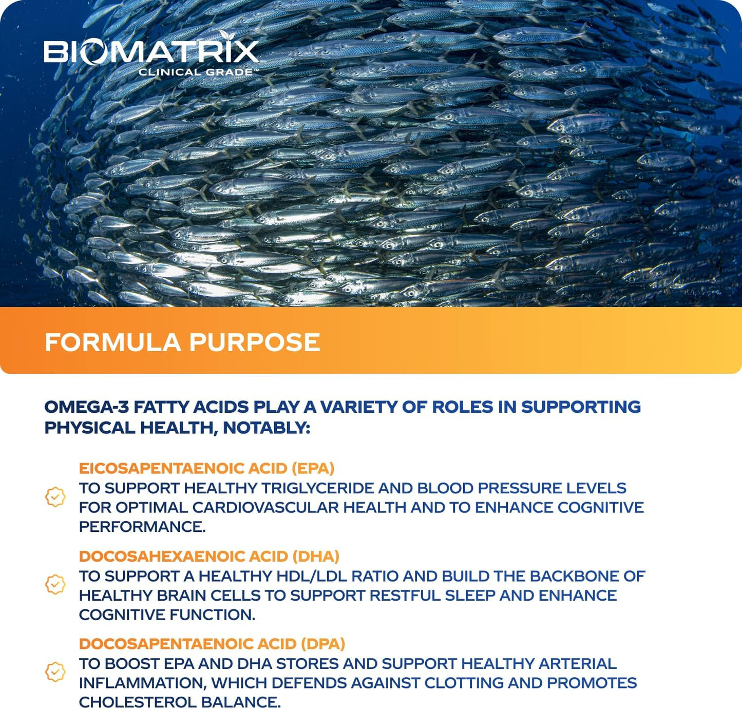 Support Omega (120 Gel Capsules) Omega 3 Fish Oil Supplement - Cardiovascular, Musculoskeletal Support Nirvana Guru
