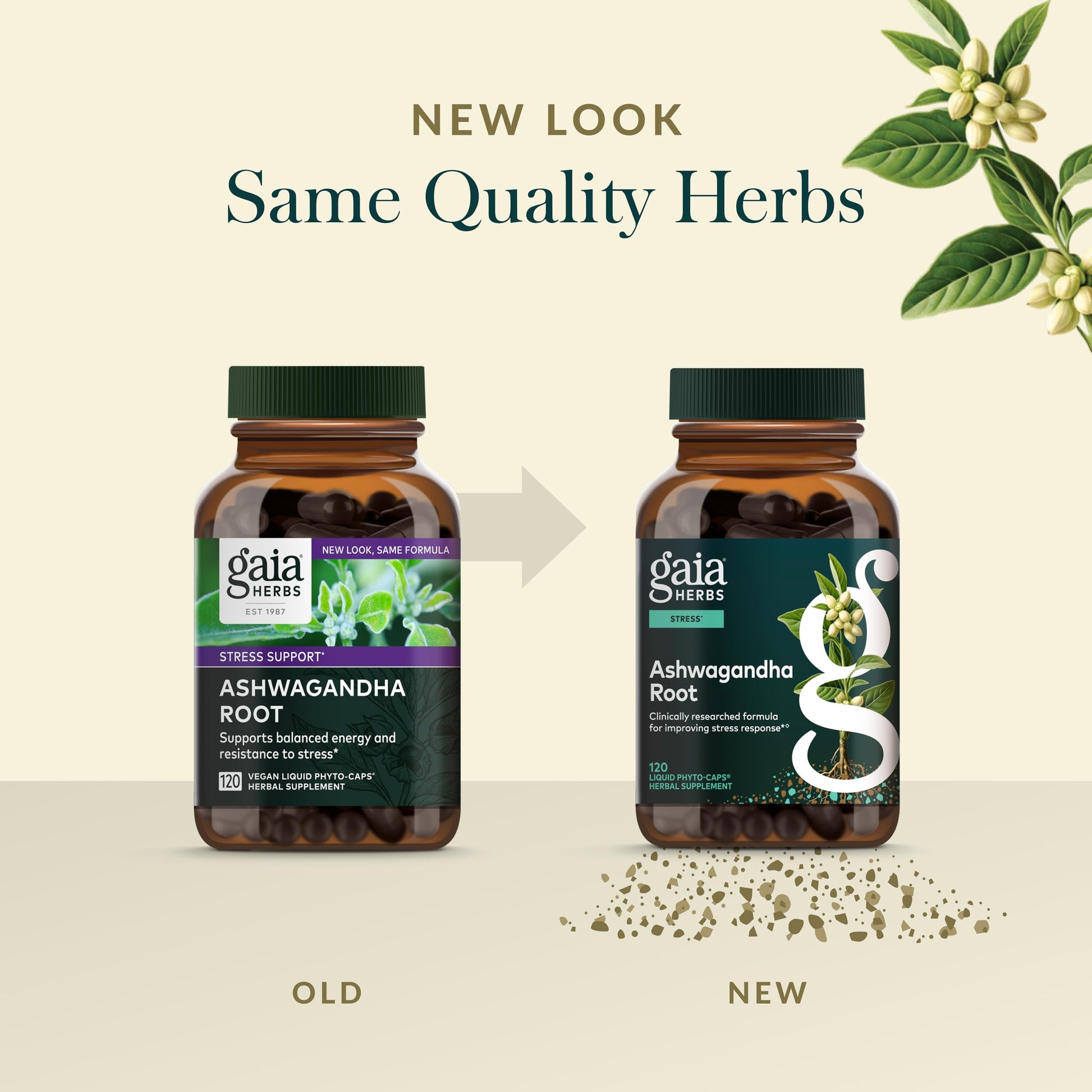 Gaia Herbs Ashwagandha Root - Stress Relief & Immune Support Supplement - Supports Balanced Energy Levels and Positive Outlook - 120 Vegan Liquid Phyto Capsules (1 Pack) Nirvana Guru