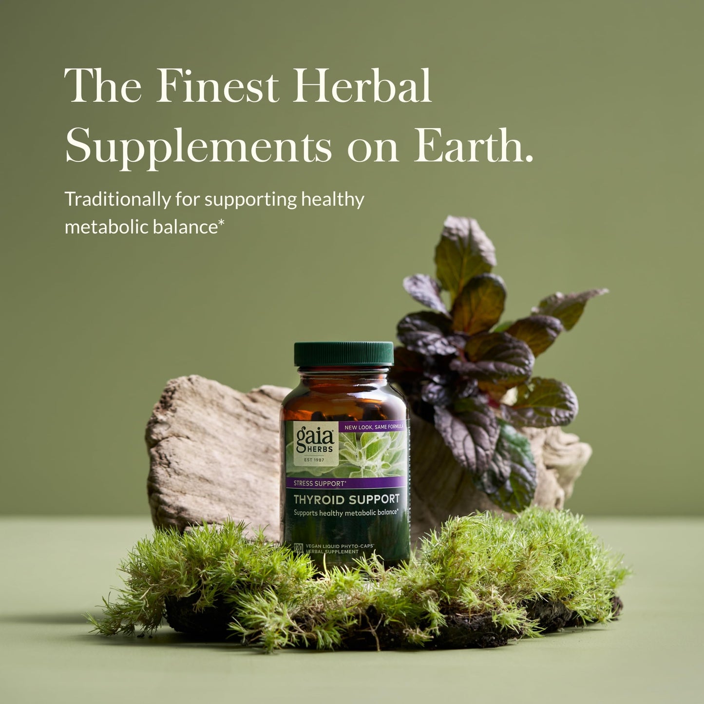 Gaia Herbs Thyroid Support - Made with Ashwagandha, Kelp, Brown Seaweed, and Schisandra to Support Healthy Metabolic Balance and Overall Well-Being - 60 Vegan Liquid Phyto-Capsules (20-Day Supply) - Nirvana Guru