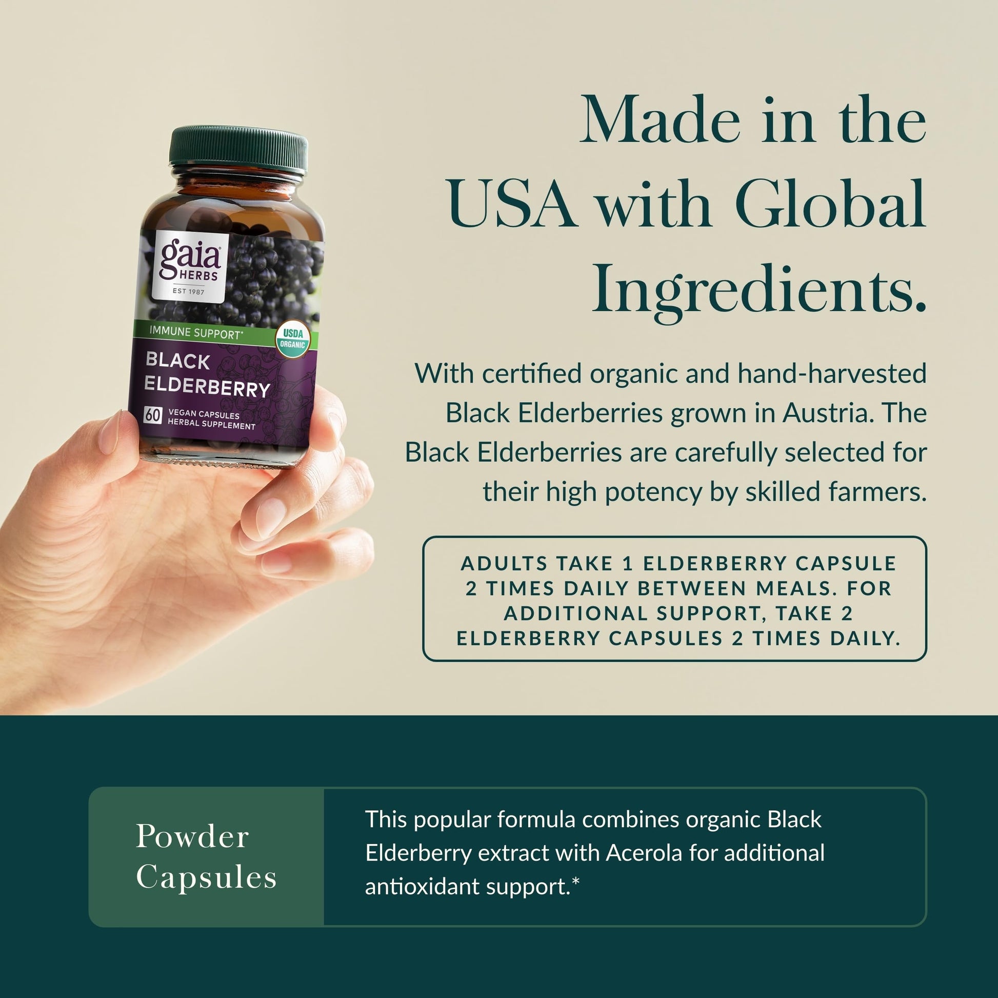 Gaia Herbs Black Elderberry - Daily Immune Support Supplement to Help Maintain Well-Being- with Black Elderberries and Acerola Fruit for Antioxidant Support - 120 Vegan Capsules (60-Day Supply) - Nirvana Guru