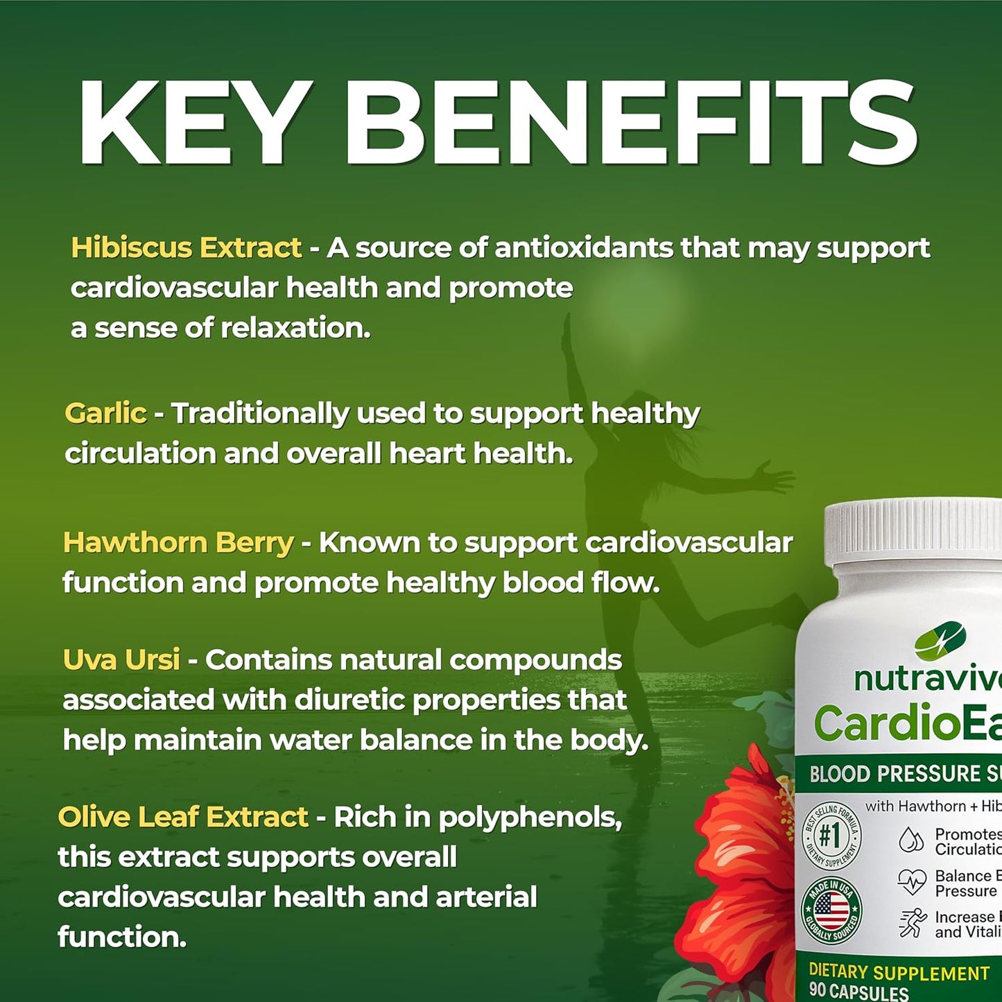 Nutravive Blood Pressure Support Supplement – Natural Heart & Circulation Support with Hawthorn, Garlic, Olive Leaf, Hibiscus & B12 – USA Made, GMP Facility, Third-Party Tested – 90 Capsules Nirvana Guru