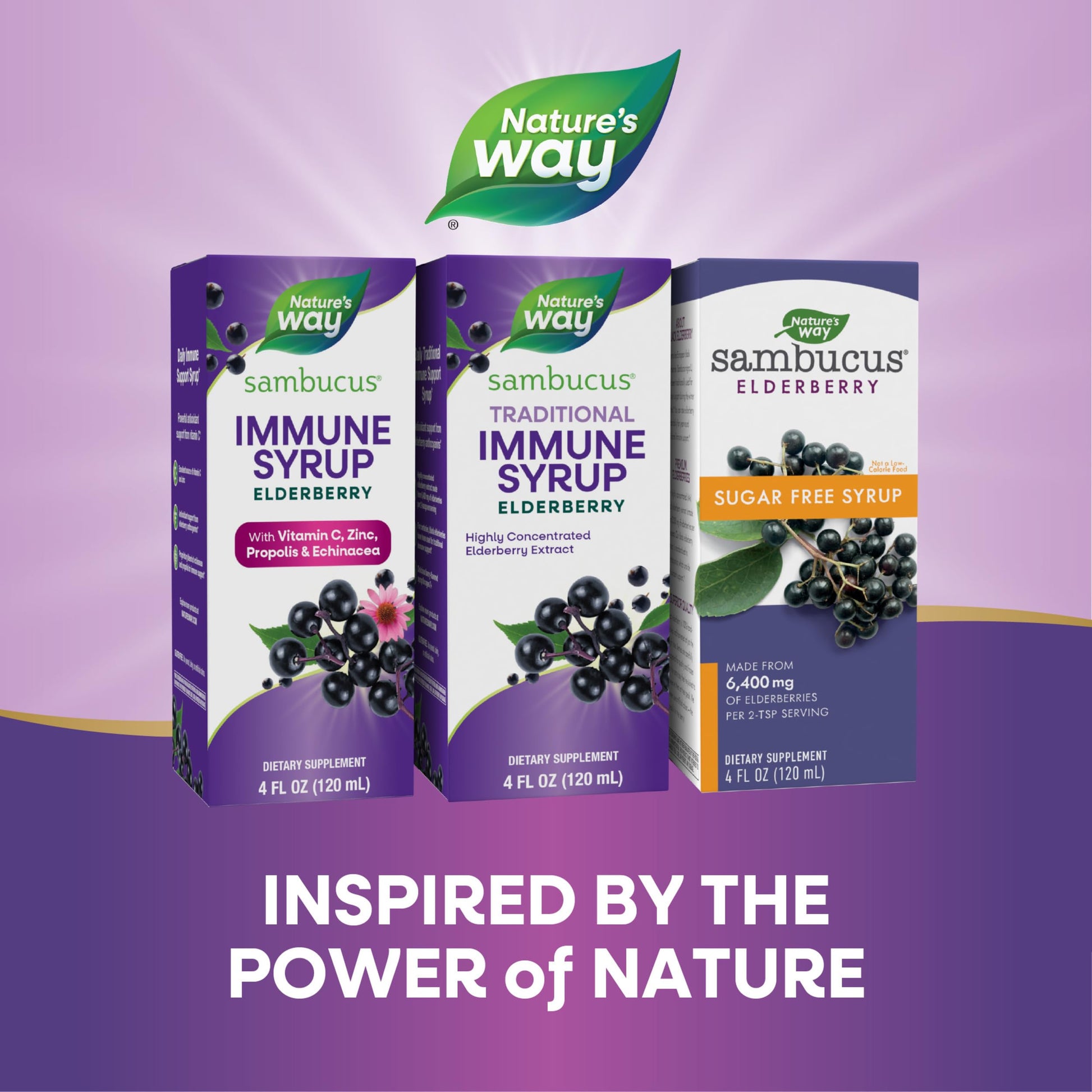 Nature’s Way Sambucus Elderberry Traditional Immune Syrup, Highly Concentrated Black Elderberry Extract, Traditional Immune Support*, Delicious Berry Flavored, 8 Fl Oz (Packaging May Vary) - Nirvana Guru