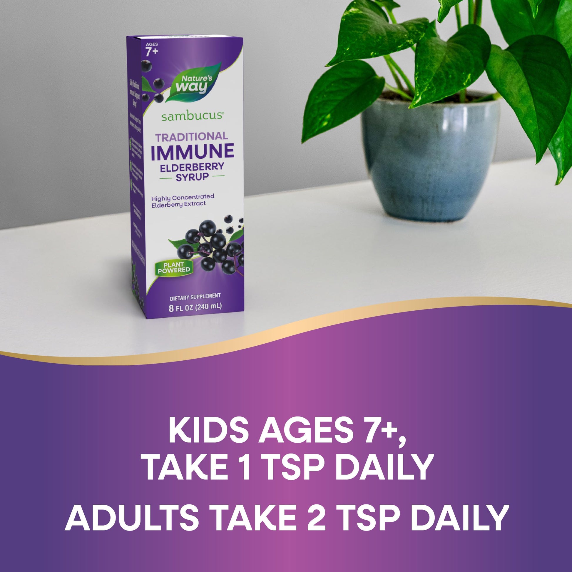 Nature’s Way Sambucus Elderberry Traditional Immune Syrup, Highly Concentrated Black Elderberry Extract, Traditional Immune Support*, Delicious Berry Flavored, 8 Fl Oz (Packaging May Vary) - Nirvana Guru