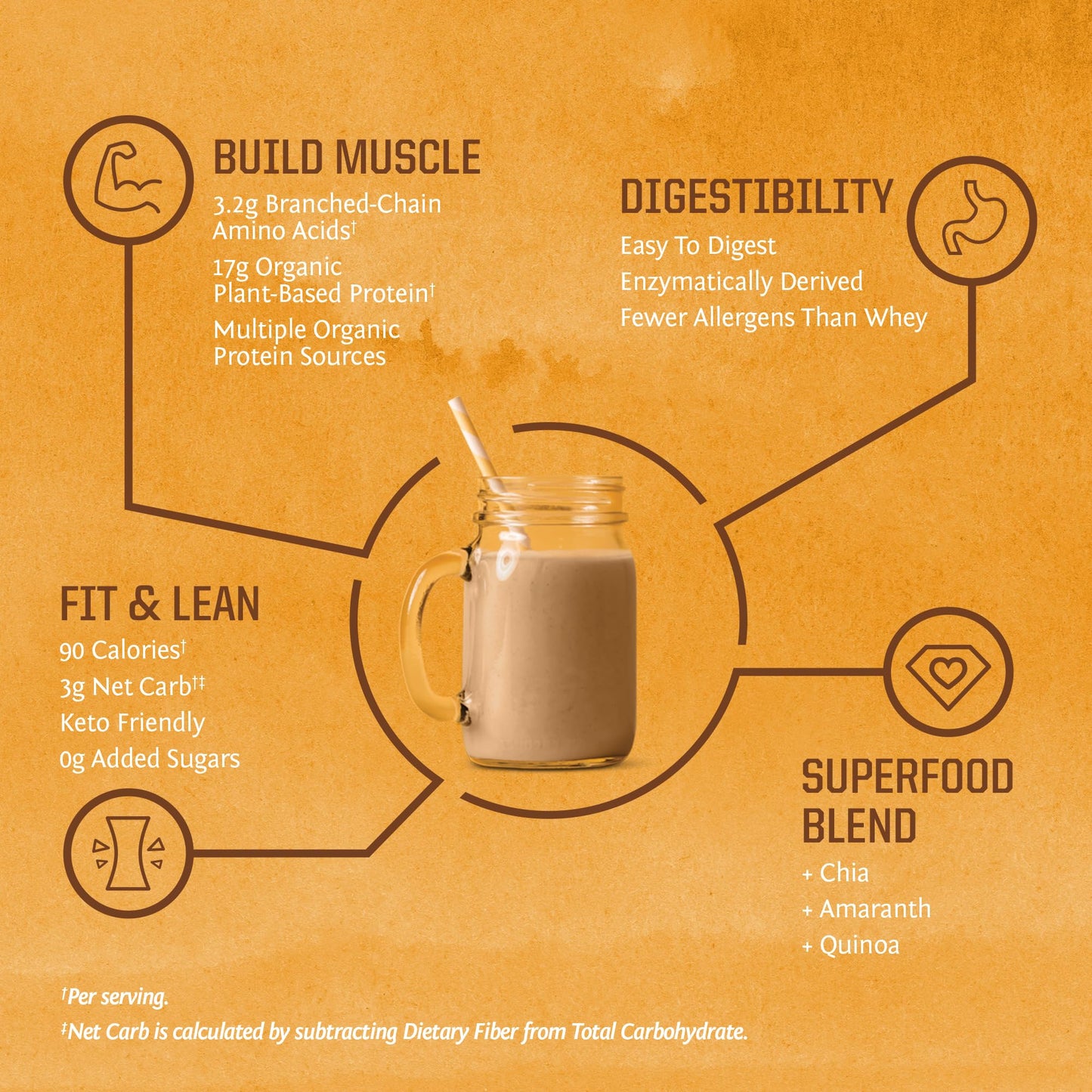 Brown Rice Protein Powder with Bcaa & Amino Acids Raw Rice Protein Shake Gluten Free Low Carb Dairy Free | Plant Based Classic Sprouted Brown Rice Protein Powder Natural 375g by Sunwarrior - Nirvana Guru