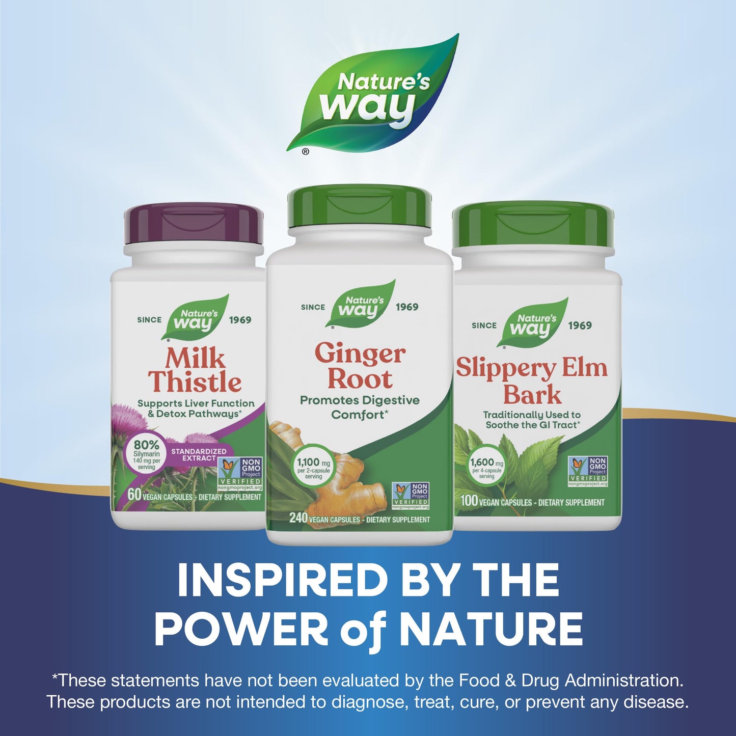 Nature's Way Ginger Root, Promotes Digestive Comfort*, Reduces Motion-Related Nausea*, 1,100 mg Per 2-capsule Serving, Non-GMO Project Verified, Vegan, 240 Capsules (Packaging May Vary) Nirvana Guru