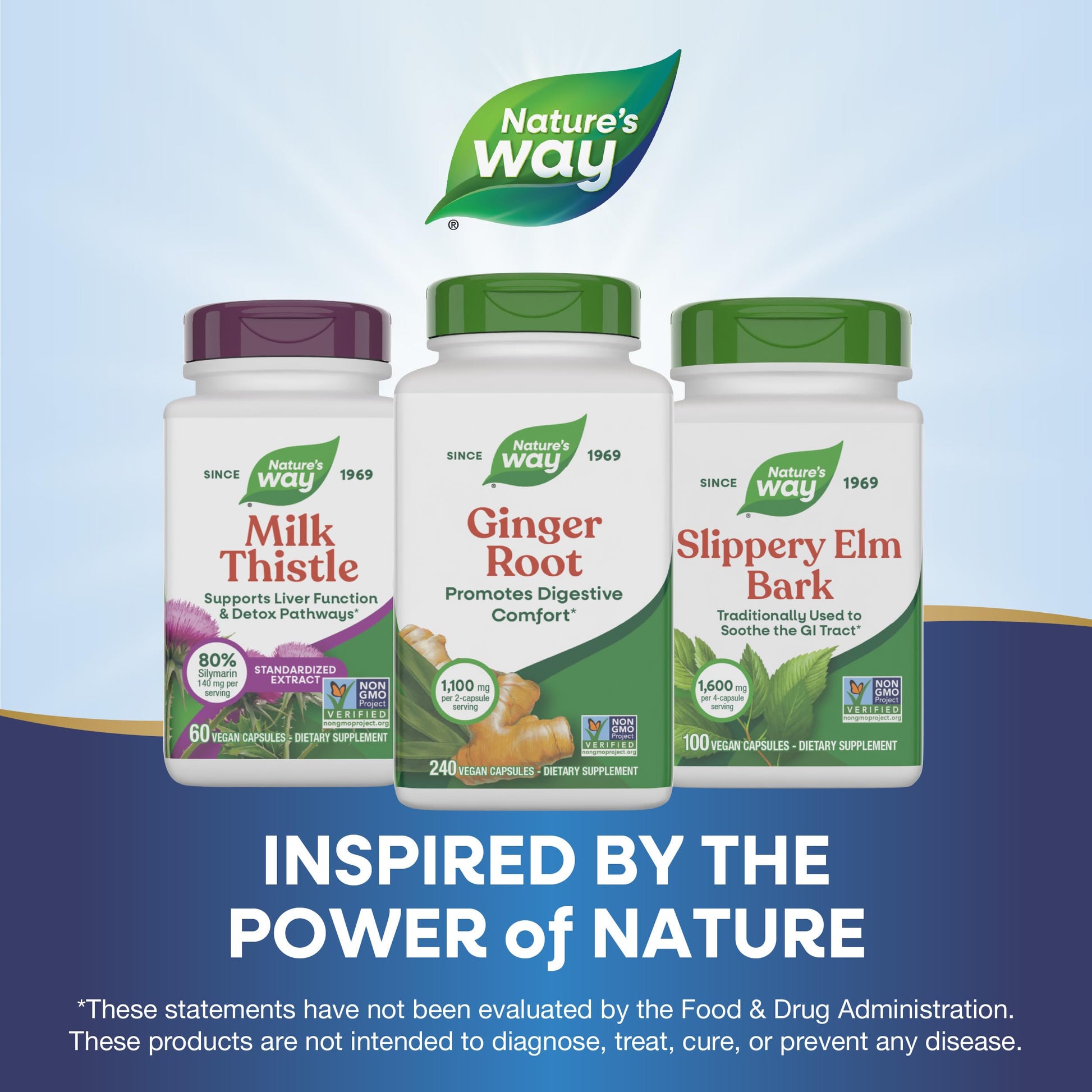 Nature's Way Ginger Root, Promotes Digestive Comfort*, Reduces Motion-Related Nausea*, 1,100 mg Per 2-capsule Serving, Non-GMO Project Verified, Vegan, 240 Capsules (Packaging May Vary) Nirvana Guru