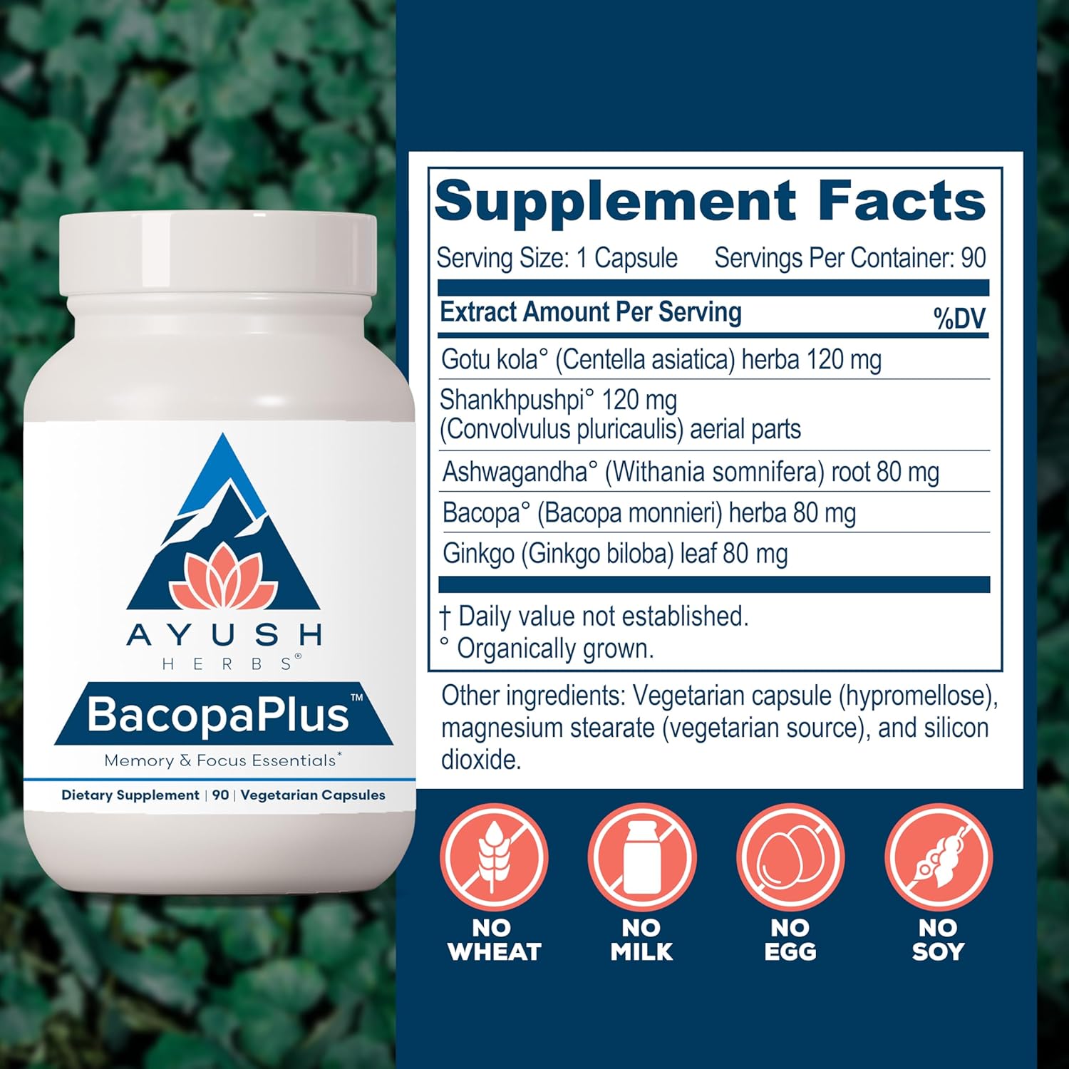 Ayush Herbs BacopaPlus - Bacopa Supplements, Organic Bacopa for Memory & Focus, Cognitive Support Pill for Adults with Ginkgo, Gotu Kola, Ashwagandha - 90 Vegetarian Capsules (1 Count) Nirvana Guru