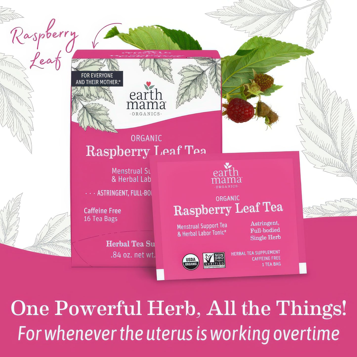 Earth Mama Organic Third Trimester Tea Bags | 100% USDA Organic Herbal Tea for Late Pregnancy Comfort + Childbirth Preparation, 16 Teabags Per Box (2-Pack) Nirvana Guru