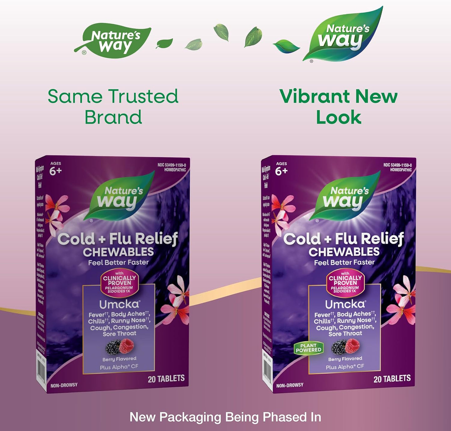 Nature's Way Cold+Flu Relief, Umcka, Shortens Duration and Reduces Severity, Multi-Symptom Relief, Homeopathic, Phenylephrine Free, Non-Drowsy, Berry Flavored, 20 Chewable Tablets (Packaging May Vary) - Nirvana Guru
