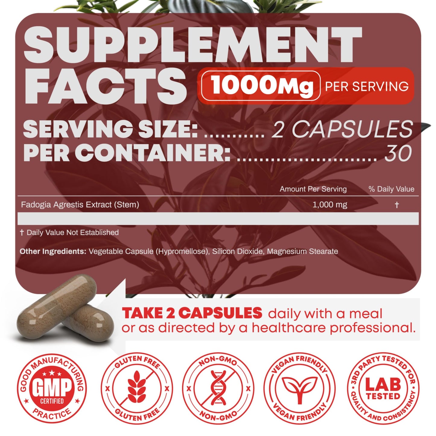 Turkesterone & Tongkat Ali 1000mg Supplement - 500mg Ajuga Turkestanica Per Serving Increase Stamina, Lean Muscle Growth & Recovery - Made in The USA (60 Capsules)