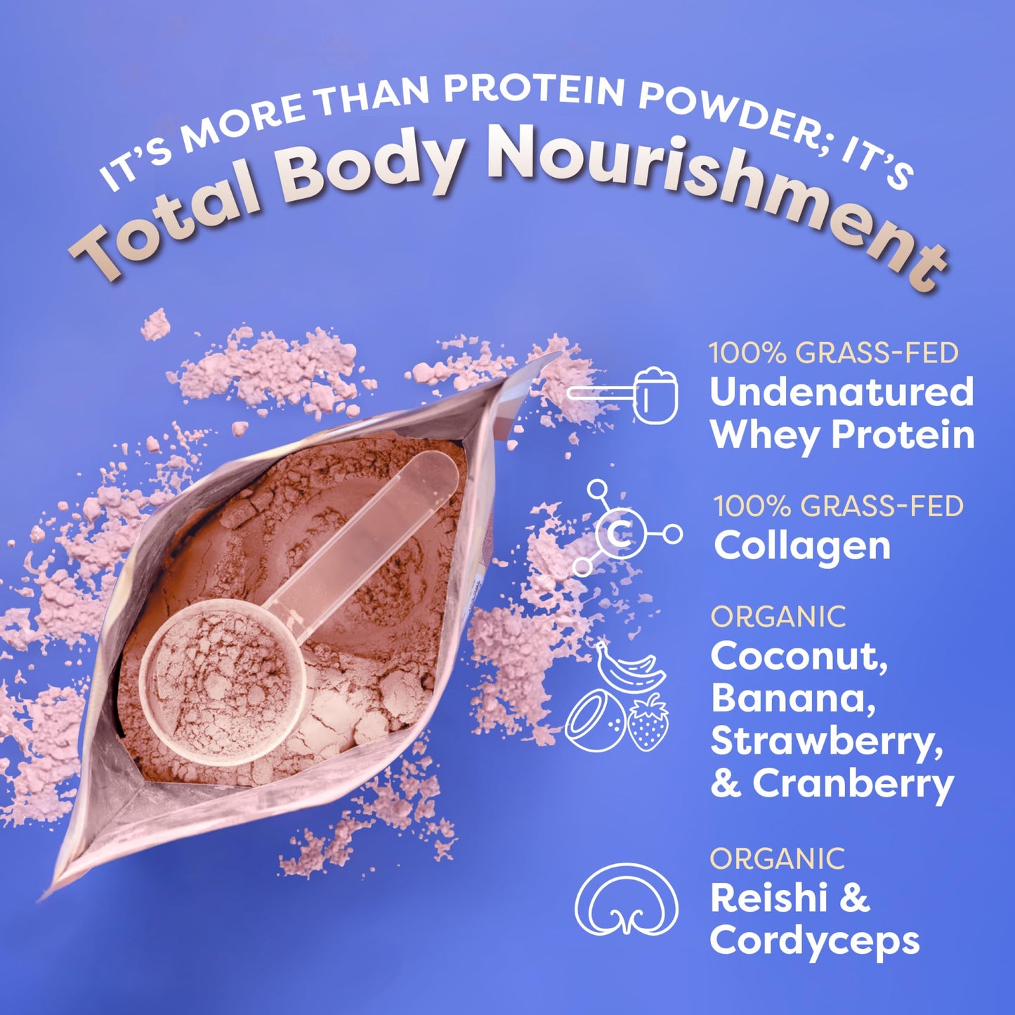 FlavCity Grass Fed Whey Protein Powder - Vanilla Smoothie - 25g Protein & 10g Collagen - Made with Real Vanilla Bean & Organic Coconut Milk - Gluten Free & No Added Sugars (20 Servings)