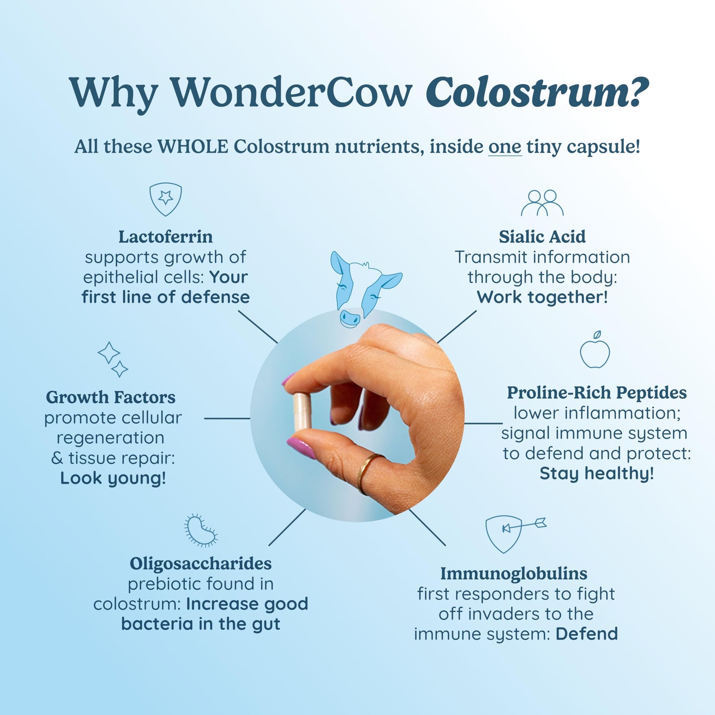 Colostrum Supplement Powder for Gut Health, Immune Support, Muscle Recovery & Wellness | Natural IgG Pure Whole Bovine Colostrum Superfood, Unflavored, 60 Servings Nirvana Guru