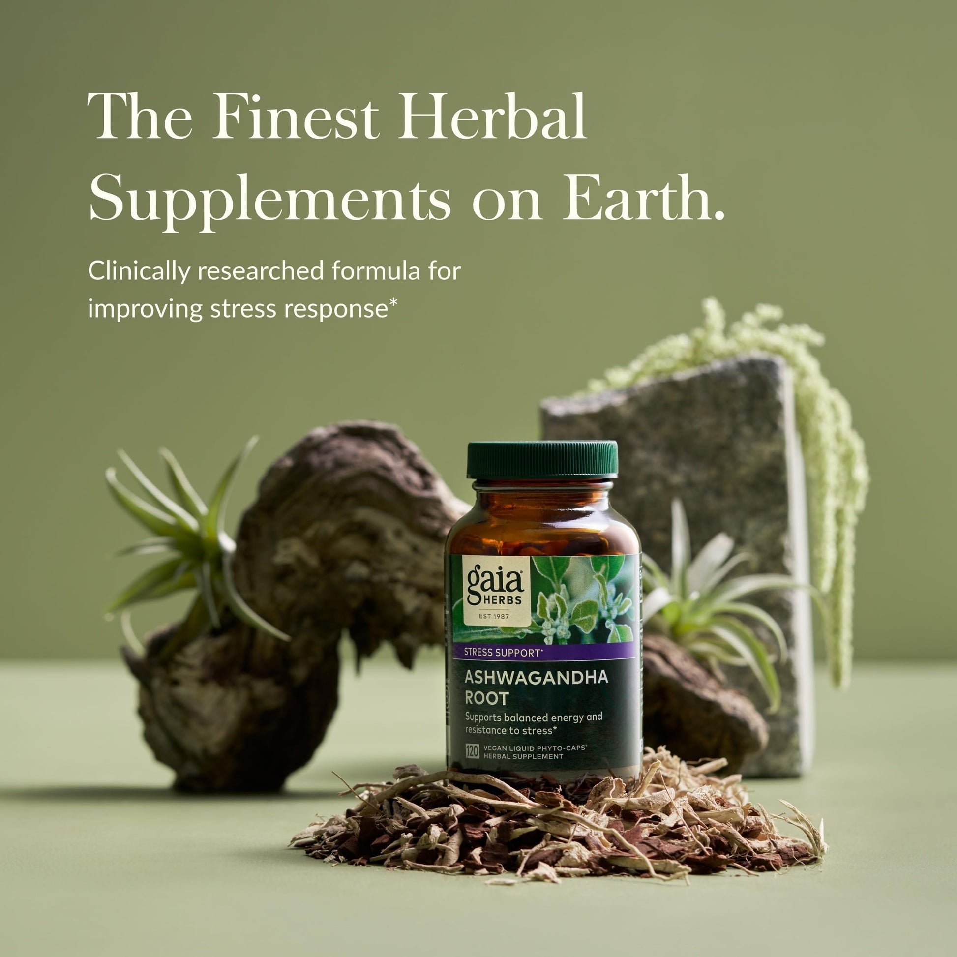 Gaia Herbs Ashwagandha Root - Stress Relief & Immune Support Supplement - Supports Balanced Energy Levels and Positive Outlook - 120 Vegan Liquid Phyto Capsules (1 Pack) Nirvana Guru