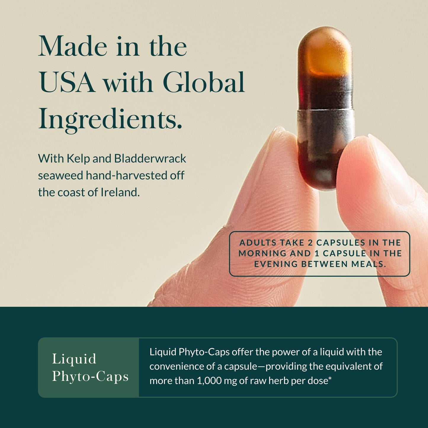 Gaia Herbs Thyroid Support - Made with Ashwagandha, Kelp, Brown Seaweed, and Schisandra to Support Healthy Metabolic Balance and Overall Well-Being - 60 Vegan Liquid Phyto-Capsules (20-Day Supply) - Nirvana Guru