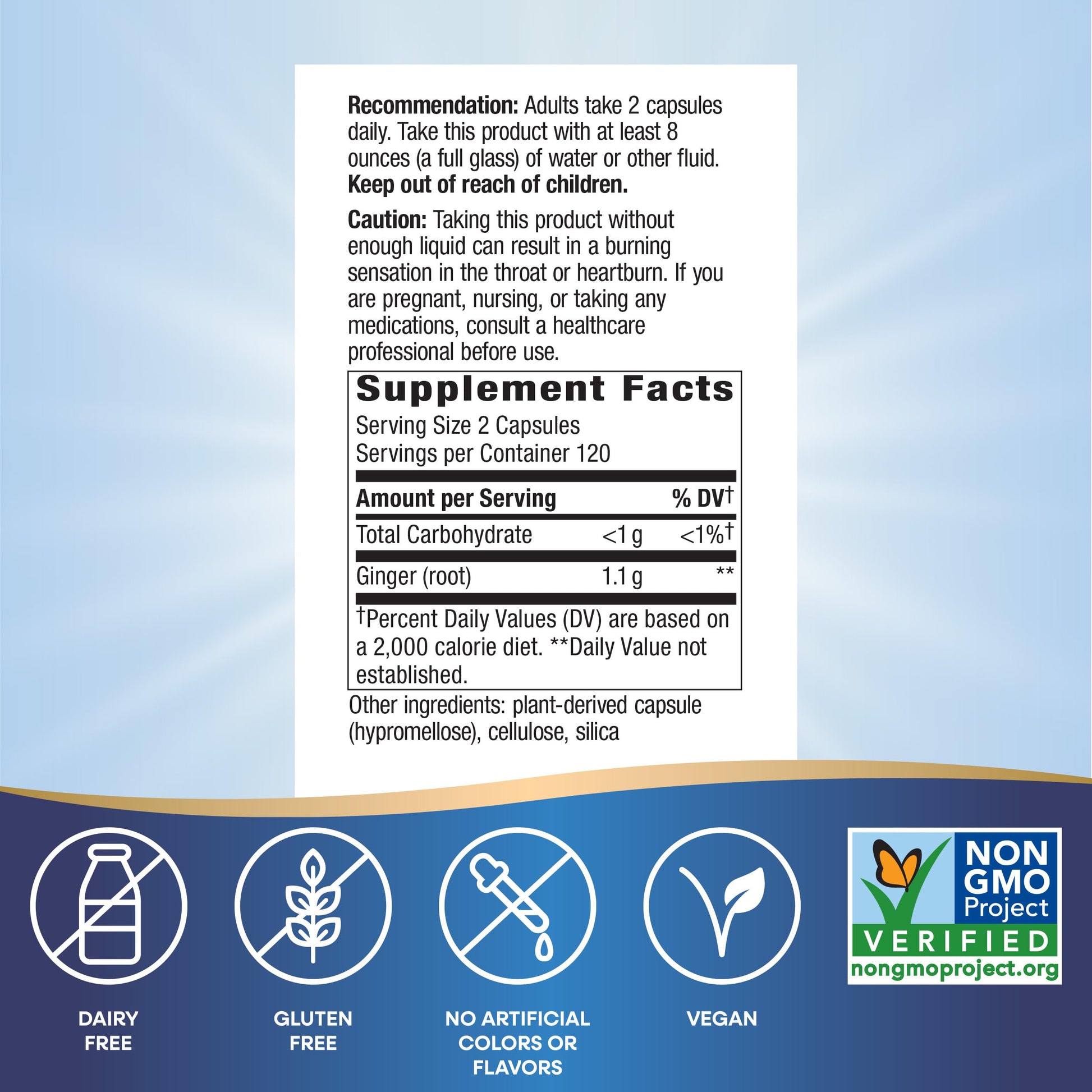 Nature's Way Ginger Root, Promotes Digestive Comfort*, Reduces Motion-Related Nausea*, 1,100 mg Per 2-capsule Serving, Non-GMO Project Verified, Vegan, 240 Capsules (Packaging May Vary) Nirvana Guru