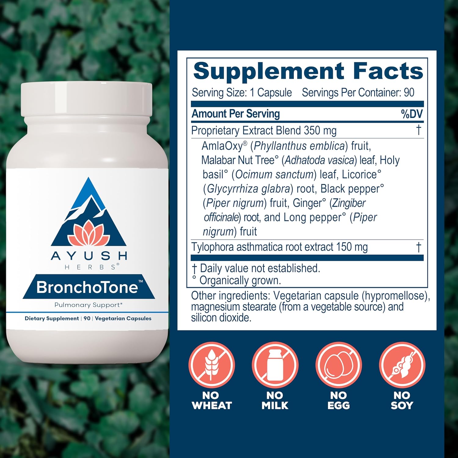 Ayush Herbs Bronchotone - Bronchial Support, Respiratory and Immune-Support Support Supplement for Women & Men, Adults, Pulmonary Care Supplement - 90 Vegetarian Capsules (1 Count) Nirvana Guru