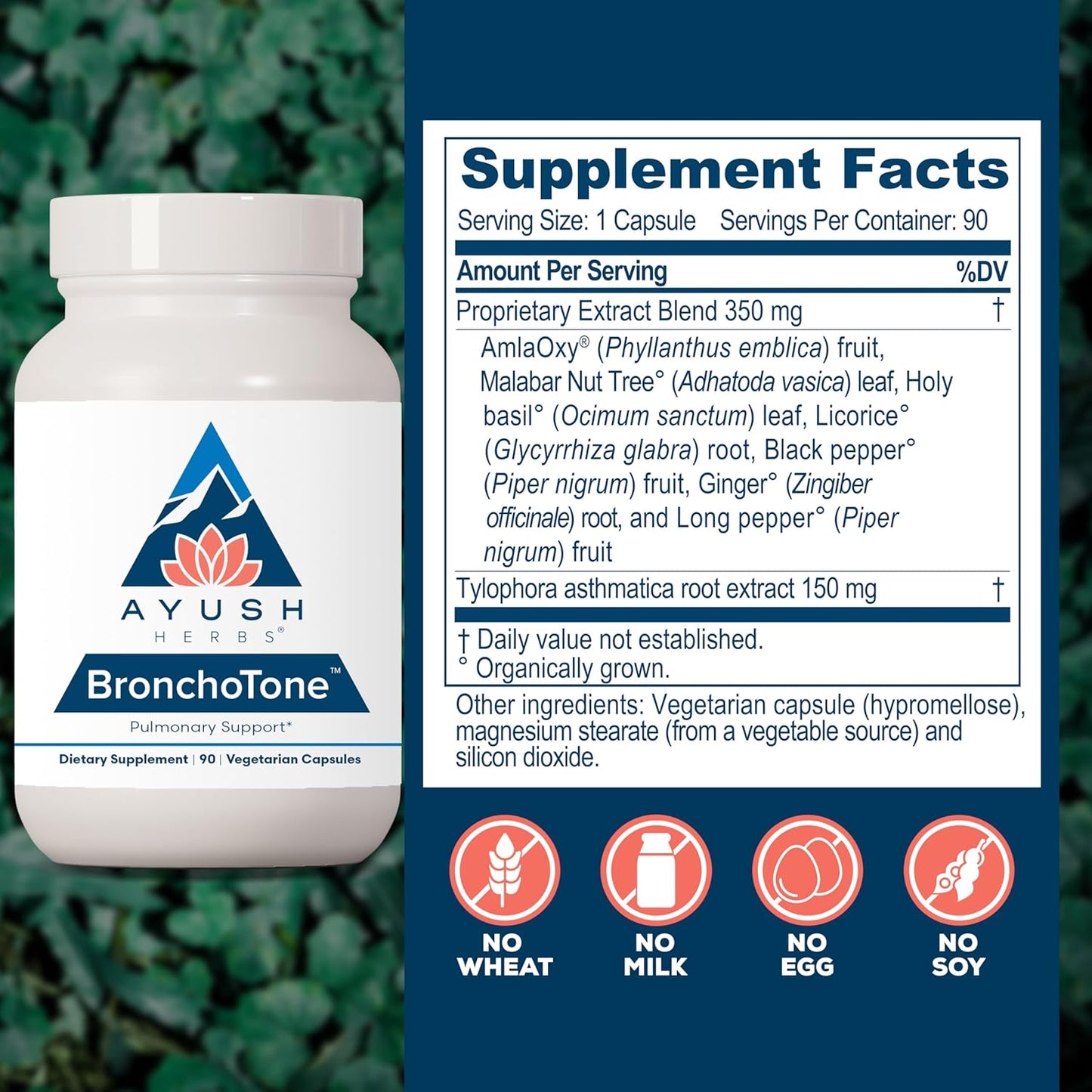 Ayush Herbs Bronchotone - Bronchial Support, Respiratory and Immune-Support Support Supplement for Women & Men, Adults, Pulmonary Care Supplement - 90 Vegetarian Capsules (1 Count) Nirvana Guru