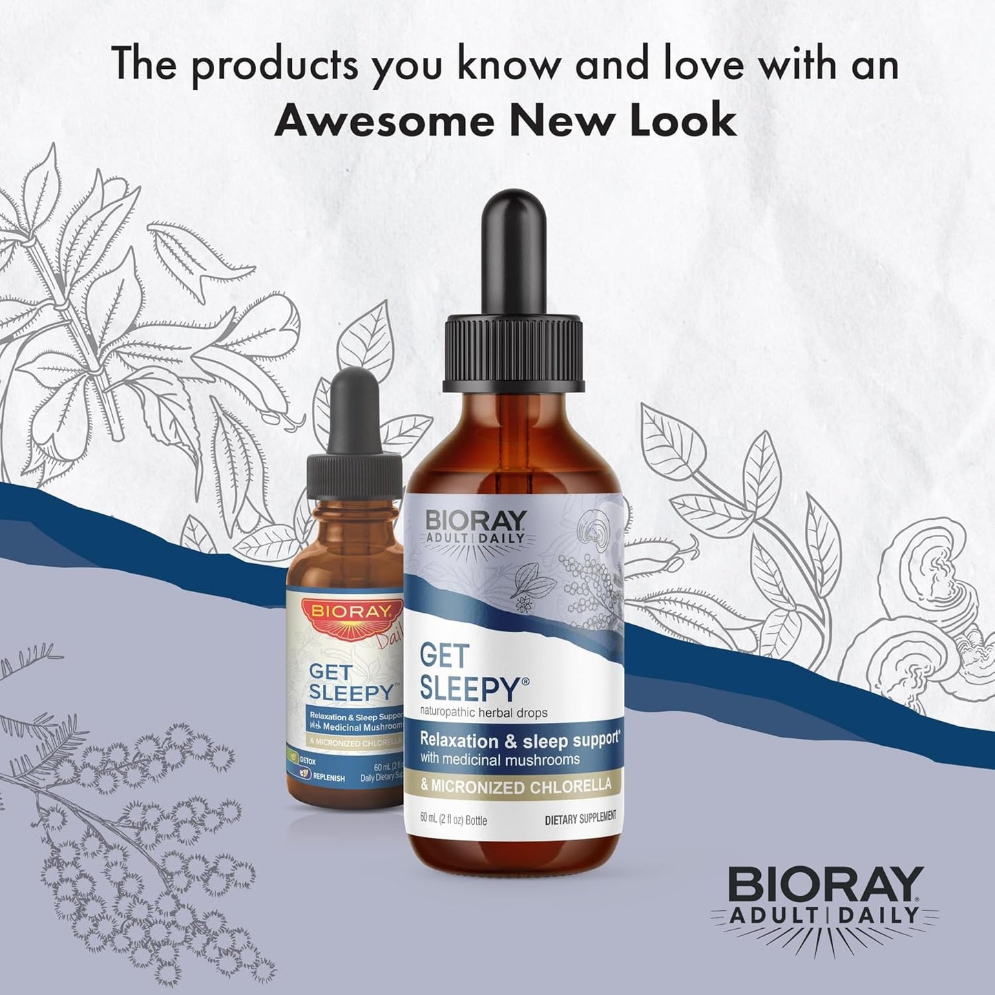 BIORAY Daily Get Sleepy - 2 fl oz - Relaxation & Rest Support - with Medicinal Mushrooms & Micronized Chlorella - Non-GMO, Vegan, Gluten Free - Approx. 30 Servings Nirvana Guru