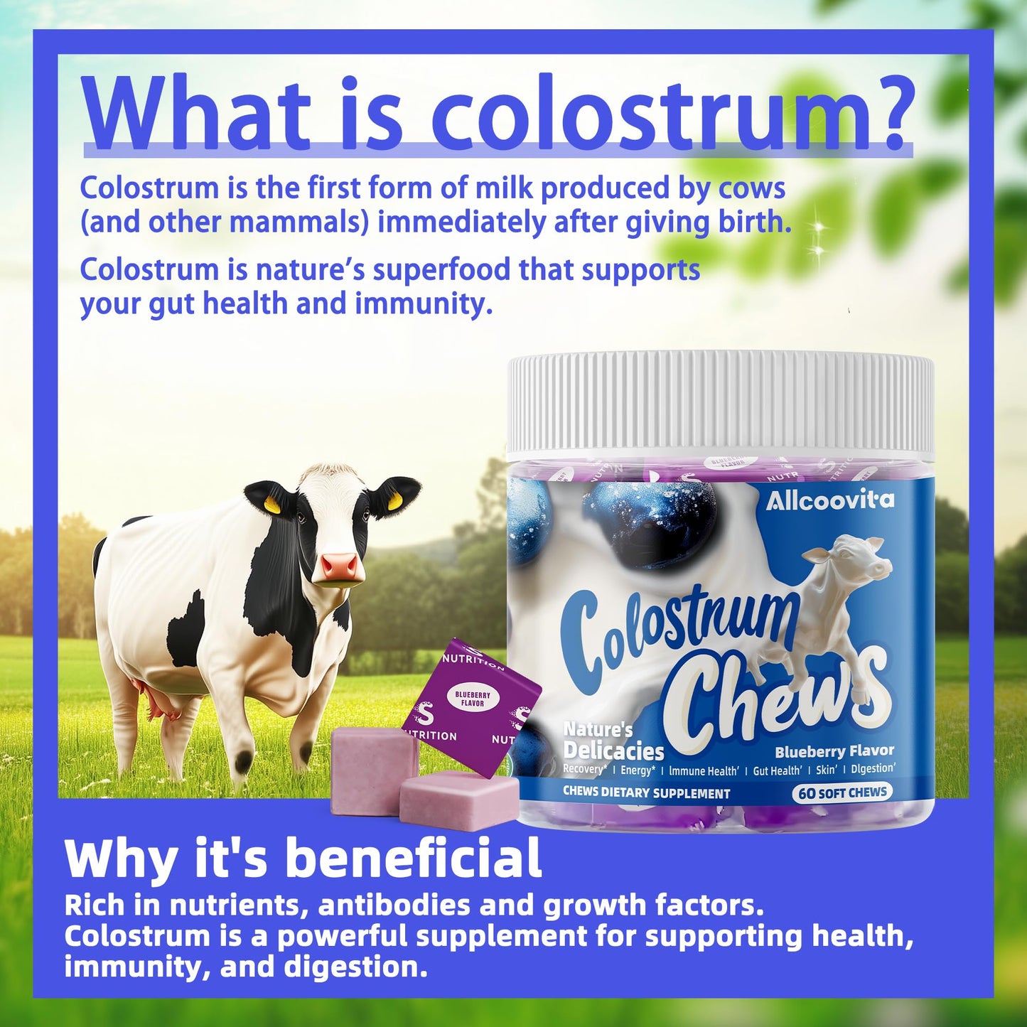 Bovine Colostrum Chews Supplement with probiotics for Gut Health, Bloating, Immune Support, Skin, Hair Growth and Beauty - Strawberry Flavor (60 Servings) Nirvana Guru