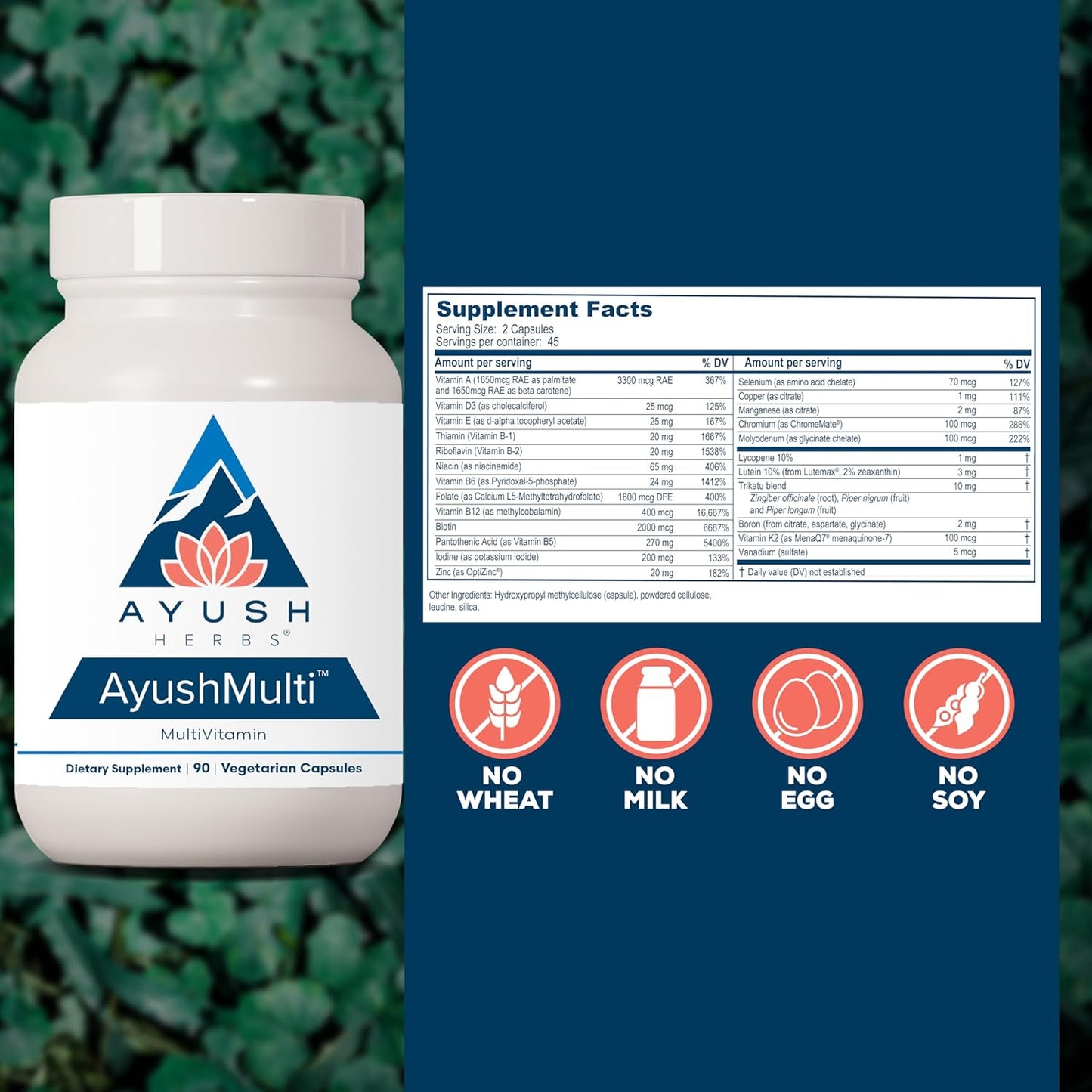 Ayush Herbs Ayush Multi - Multi Vitamin Capsules, Multivitamin with Iodine & Zinc for Men & Women, Daily Vitamin & Mineral Support for Adults - 90 Vegetarian Capsules (1 Count) Nirvana Guru