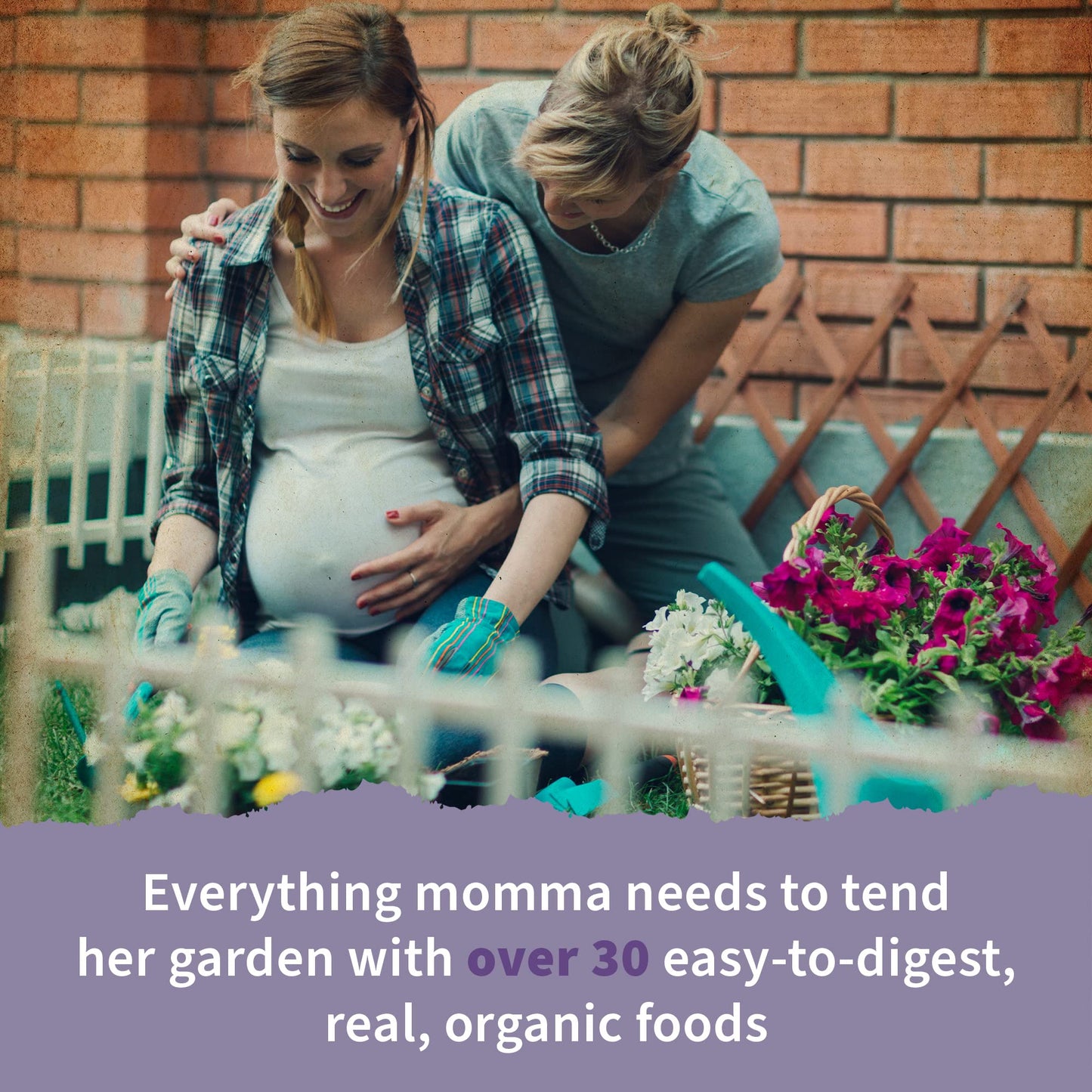 Garden of Life Organics Prenatal Vitamins - 30 Tablets, Prenatal Once Daily Whole Food Vitamins for Women with Folate not Folic Acid, Vitamin D3, Iron, Vegan One a Day Prenatal Multivitamin - Nirvana Guru
