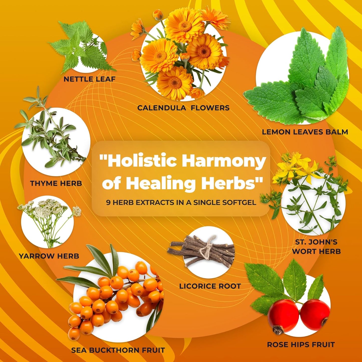 Gastroherb 9 Herb Extract - Airborne Immune Support Supplement - St Johns Wort Licorice Root Thyme Oil Immunity Supplement - Digestive Enzymes Immune System Booster - 90 Softgels Nirvana Guru
