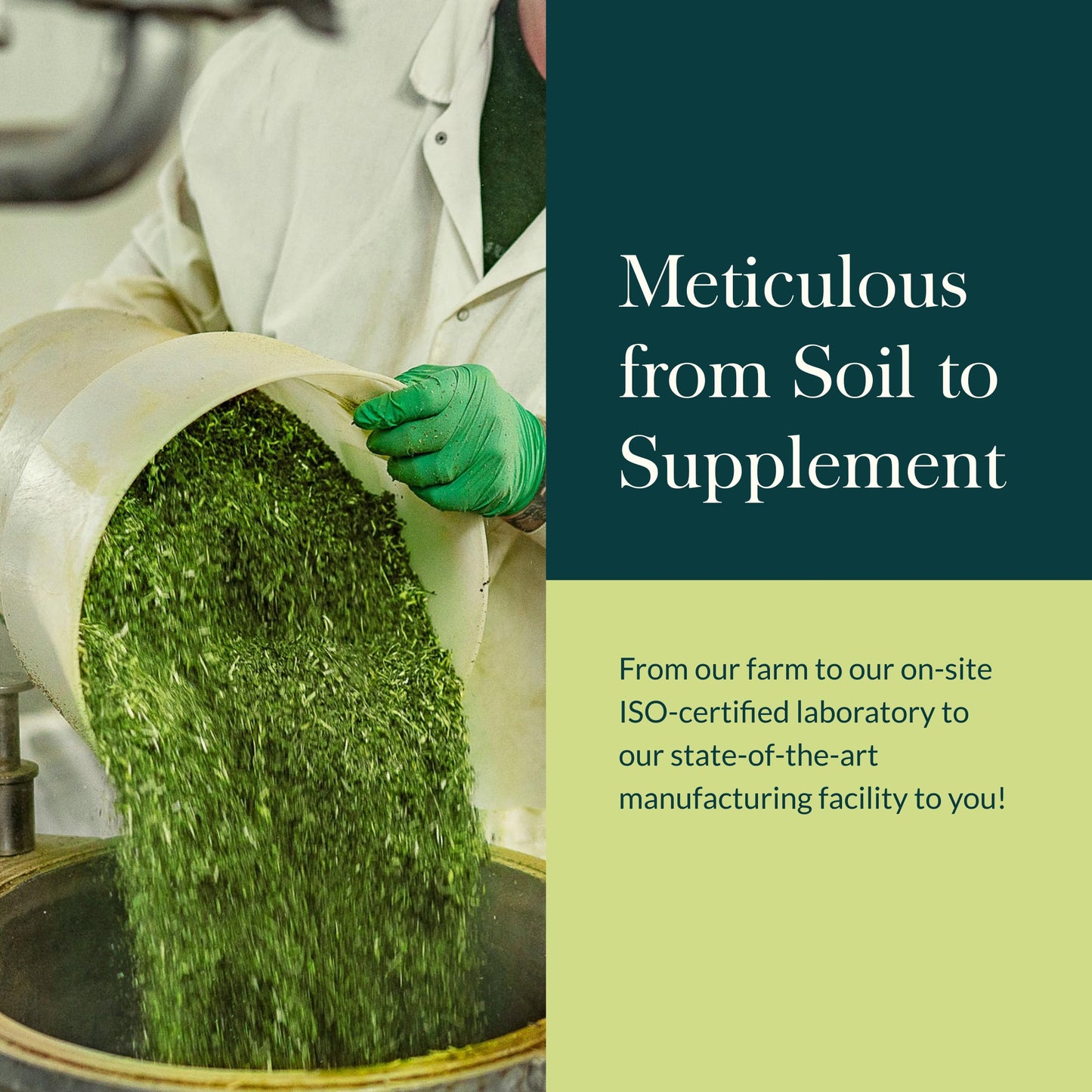 Gaia Herbs Vitex Berry - Supports Hormone Balance & Fertility in Women - 60 Vegan Liquid Phyto-Capsules (30-Day Supply) - Nirvana Guru
