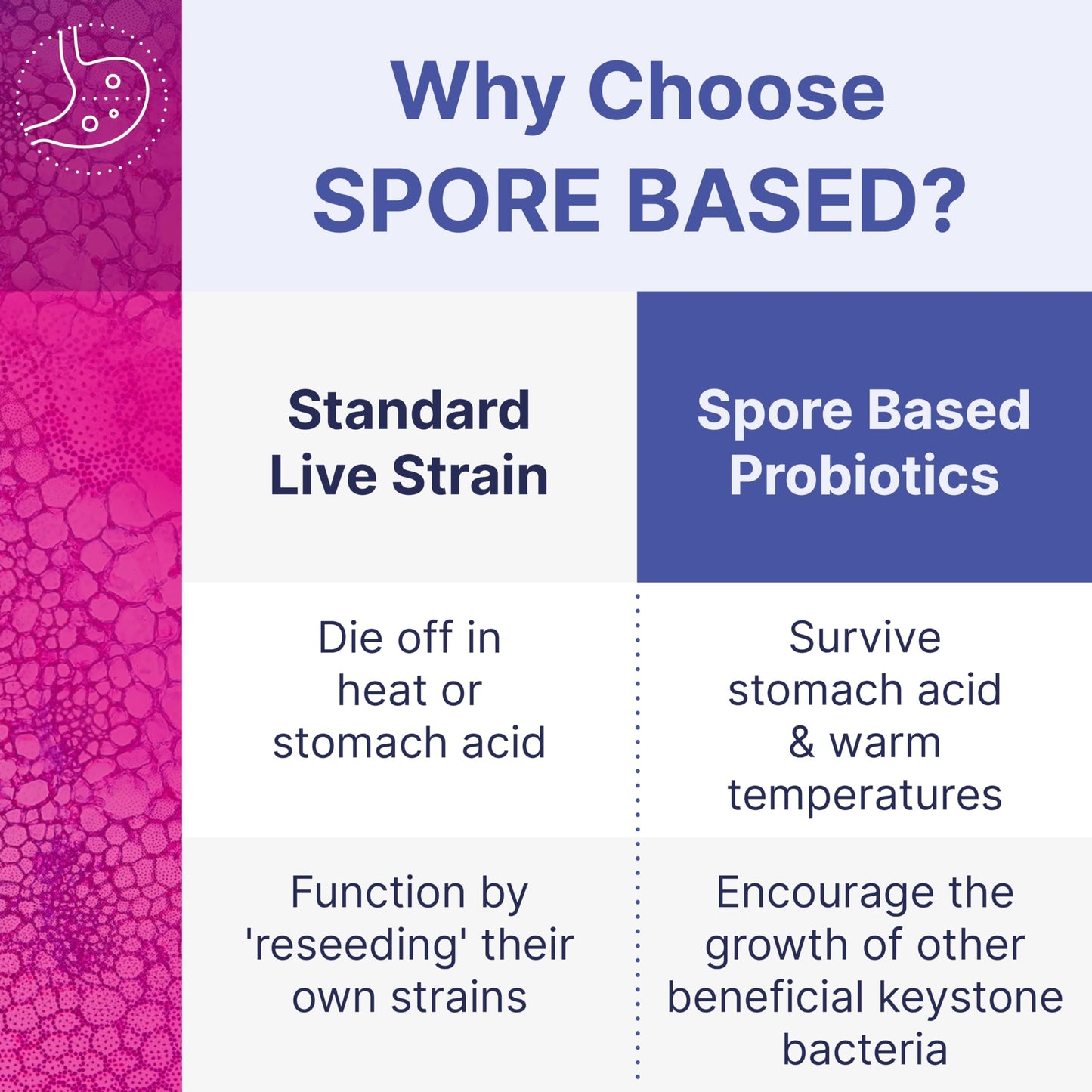 Microbiome Labs MegaSporeBiotic Probiotics for Women & Men - Spore Based Probiotics for Digestive Health - Shelf Stable & Travel-Friendly (60 Capsules) - Nirvana Guru